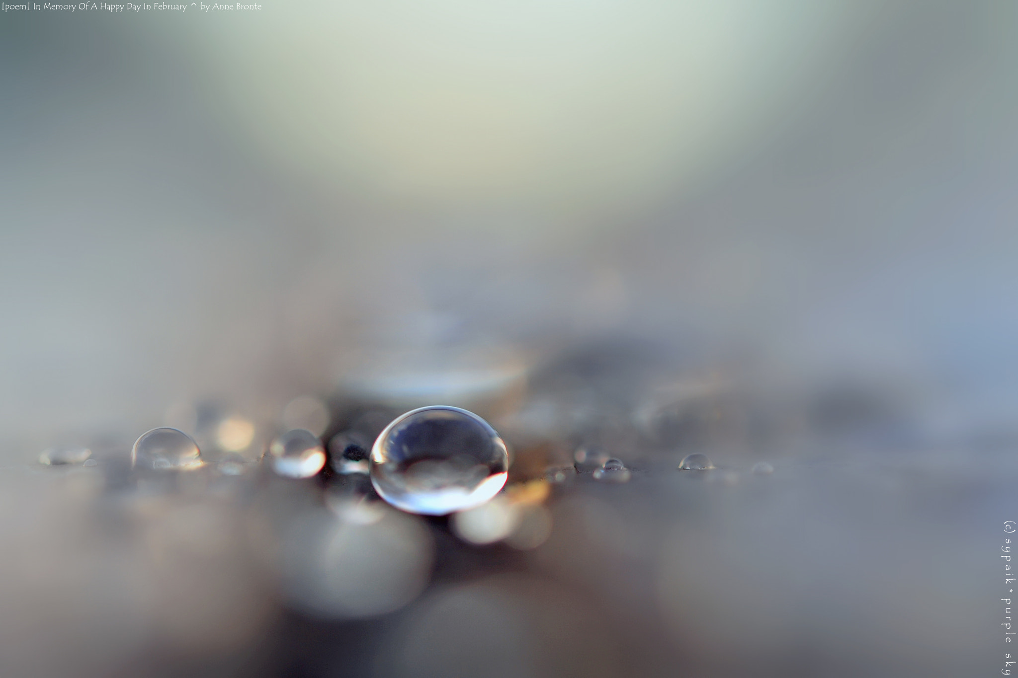 Nikon AF-S Micro-Nikkor 60mm F2.8G ED sample photo. In memory of a happy day in february ii photography