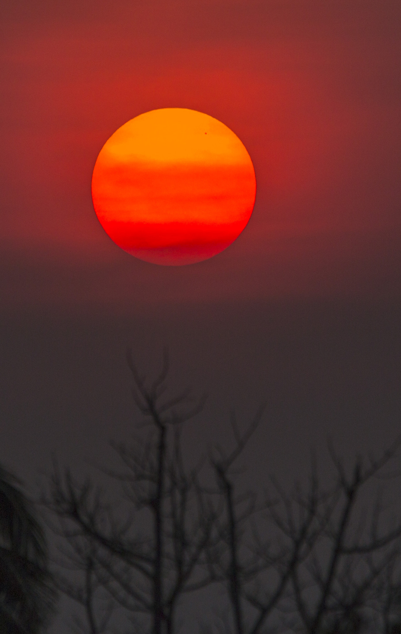 Sigma 150-500mm F5-6.3 DG OS HSM sample photo. Img photography