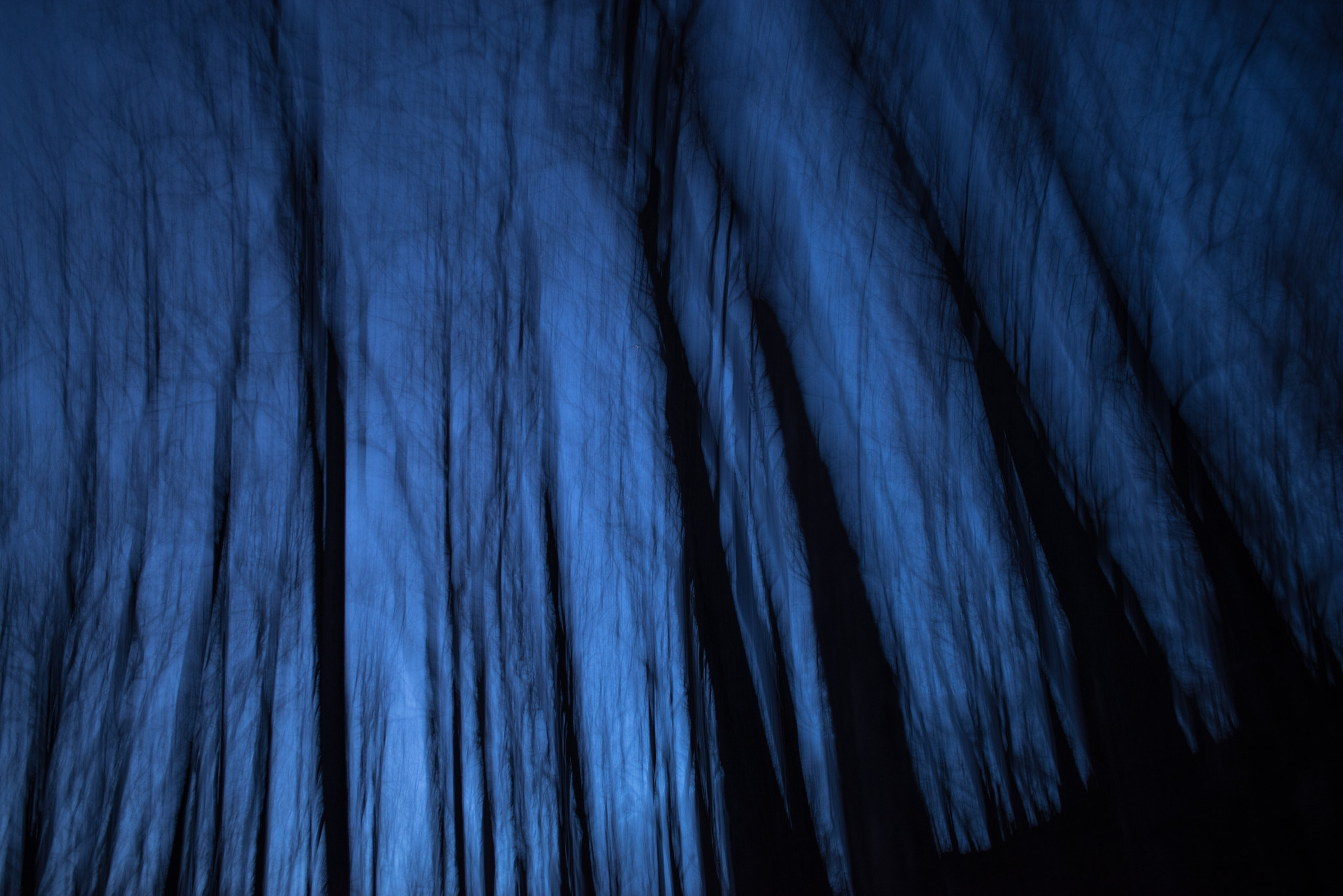 Pentax K-1 + Sigma 35mm F1.4 DG HSM Art sample photo. Night in the forest photography
