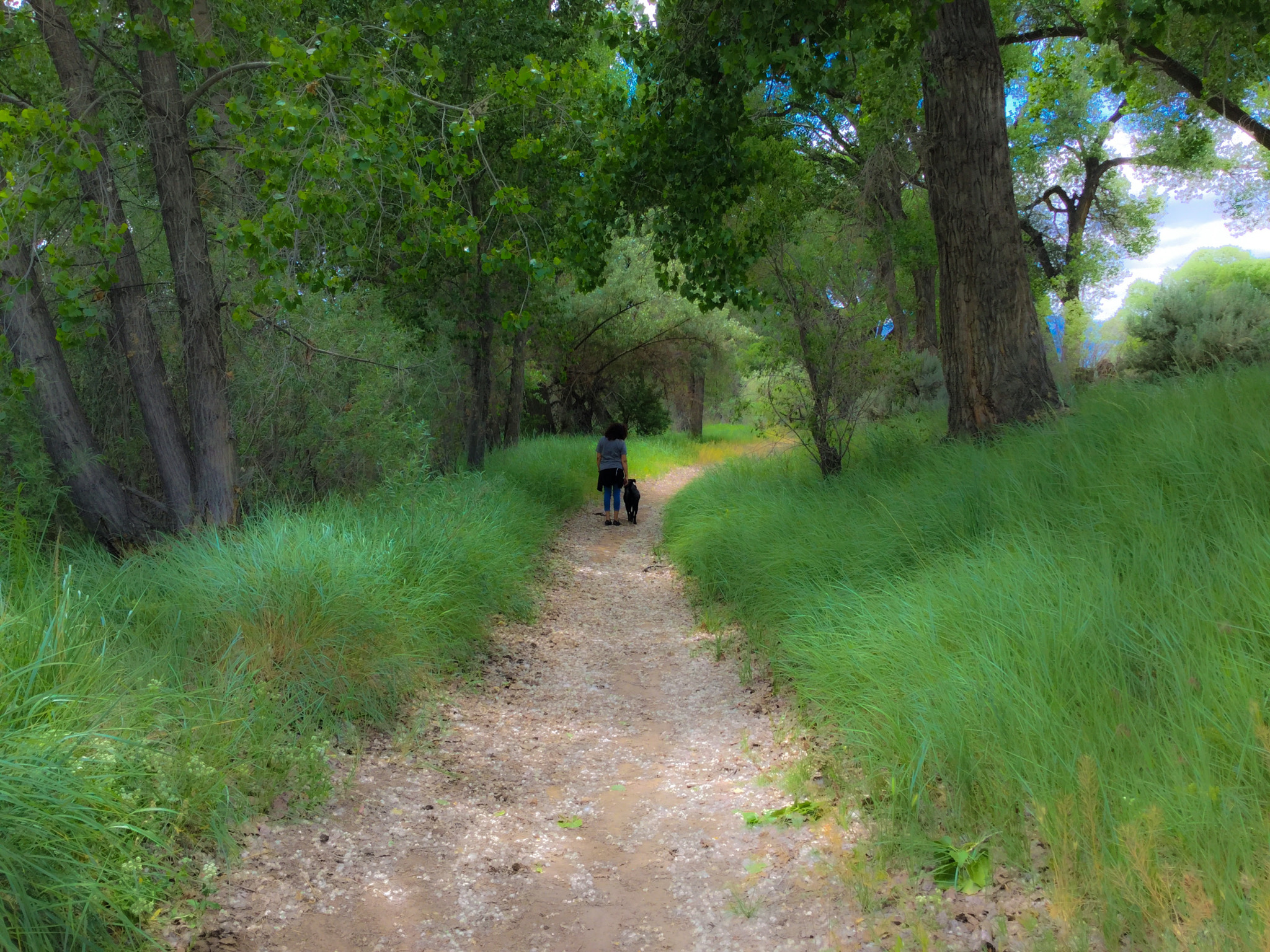 iPad Air 2 back camera 3.3mm f/2.4 sample photo. A walk by the river photography