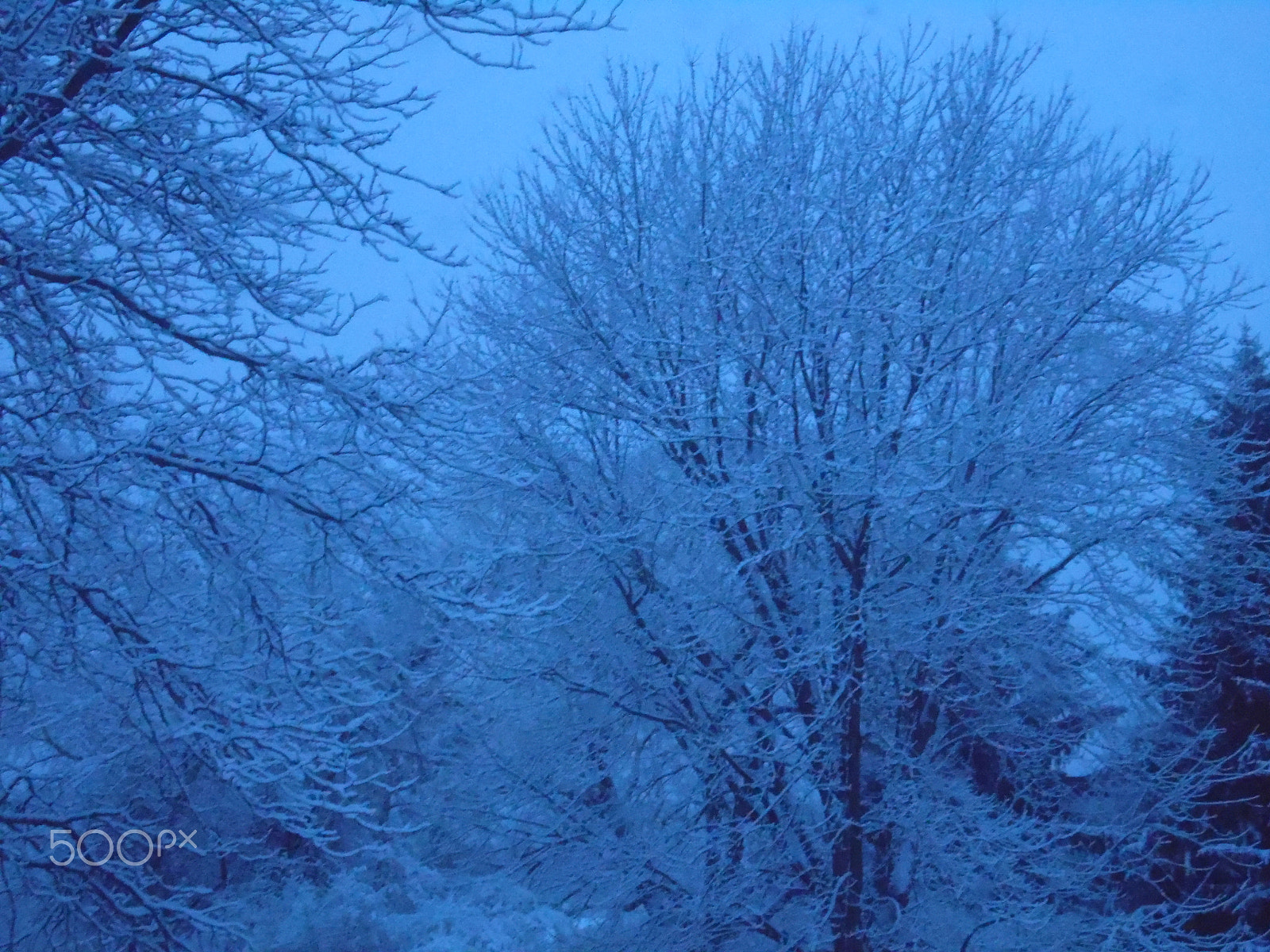Samsung WB110/  WB111 sample photo. Onesnowymorn photography