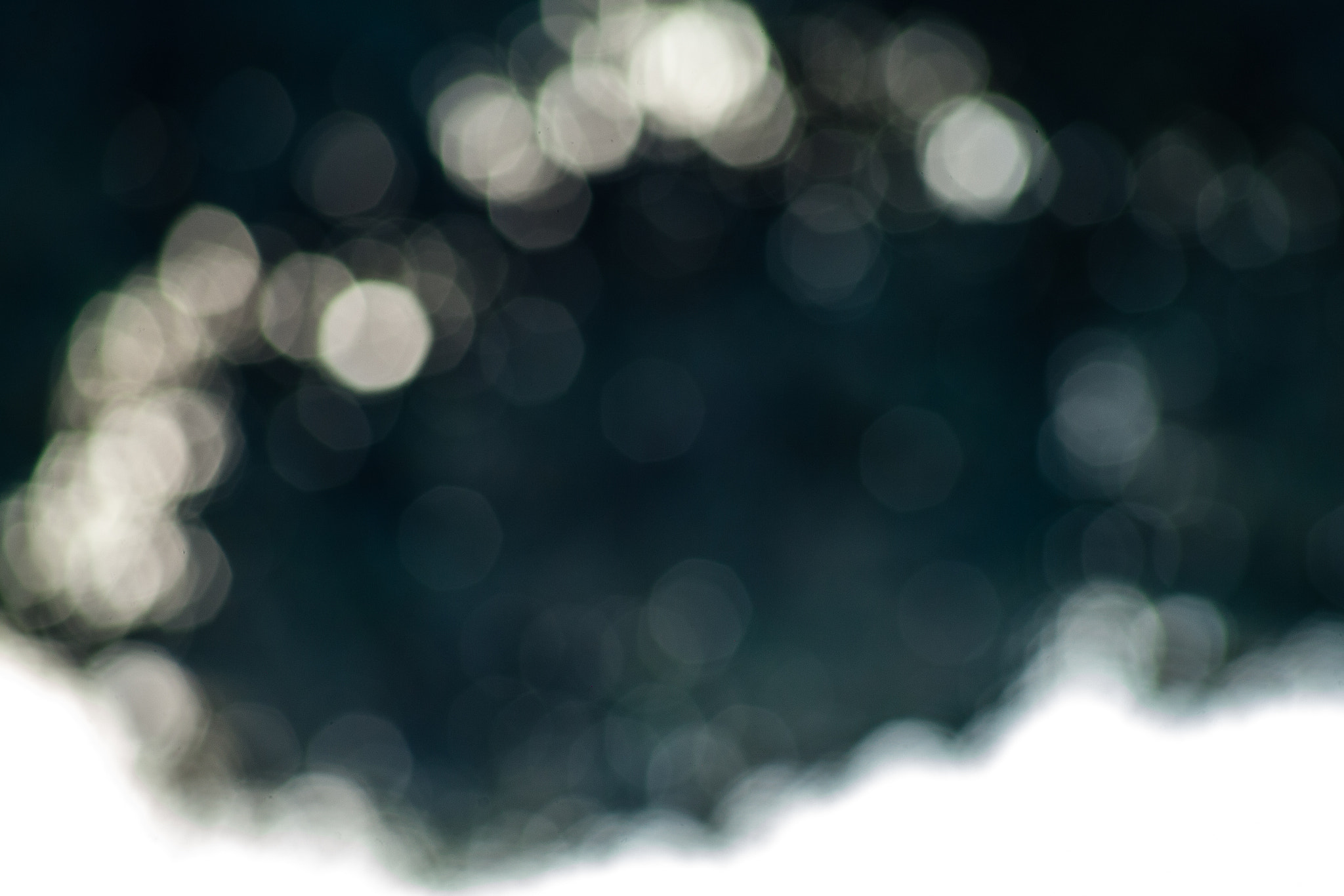 EF75-300mm f/4-5.6 sample photo. Simbiosis photography