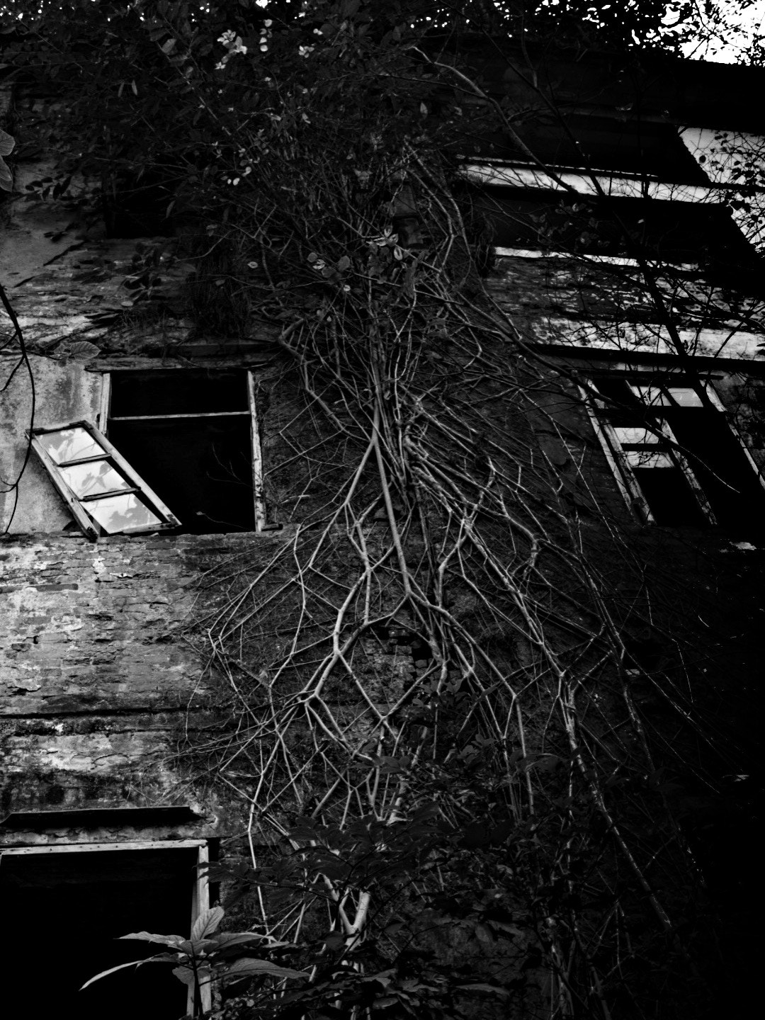 Blackie Camera sample photo. Old house photography