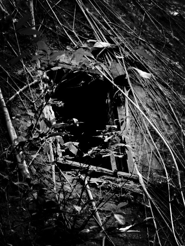 Blackie Camera sample photo. Old house's window photography