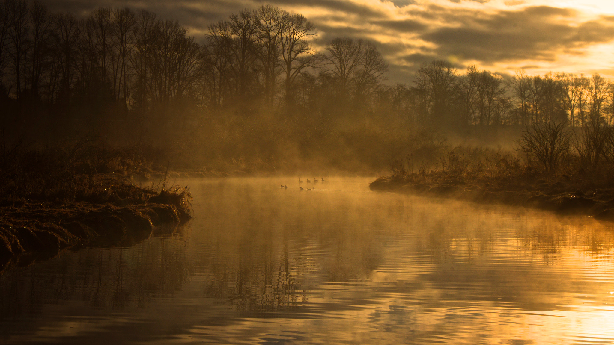 Pentax K-5 + Pentax smc DA 16-45mm F4 ED AL sample photo. Along a misty river photography