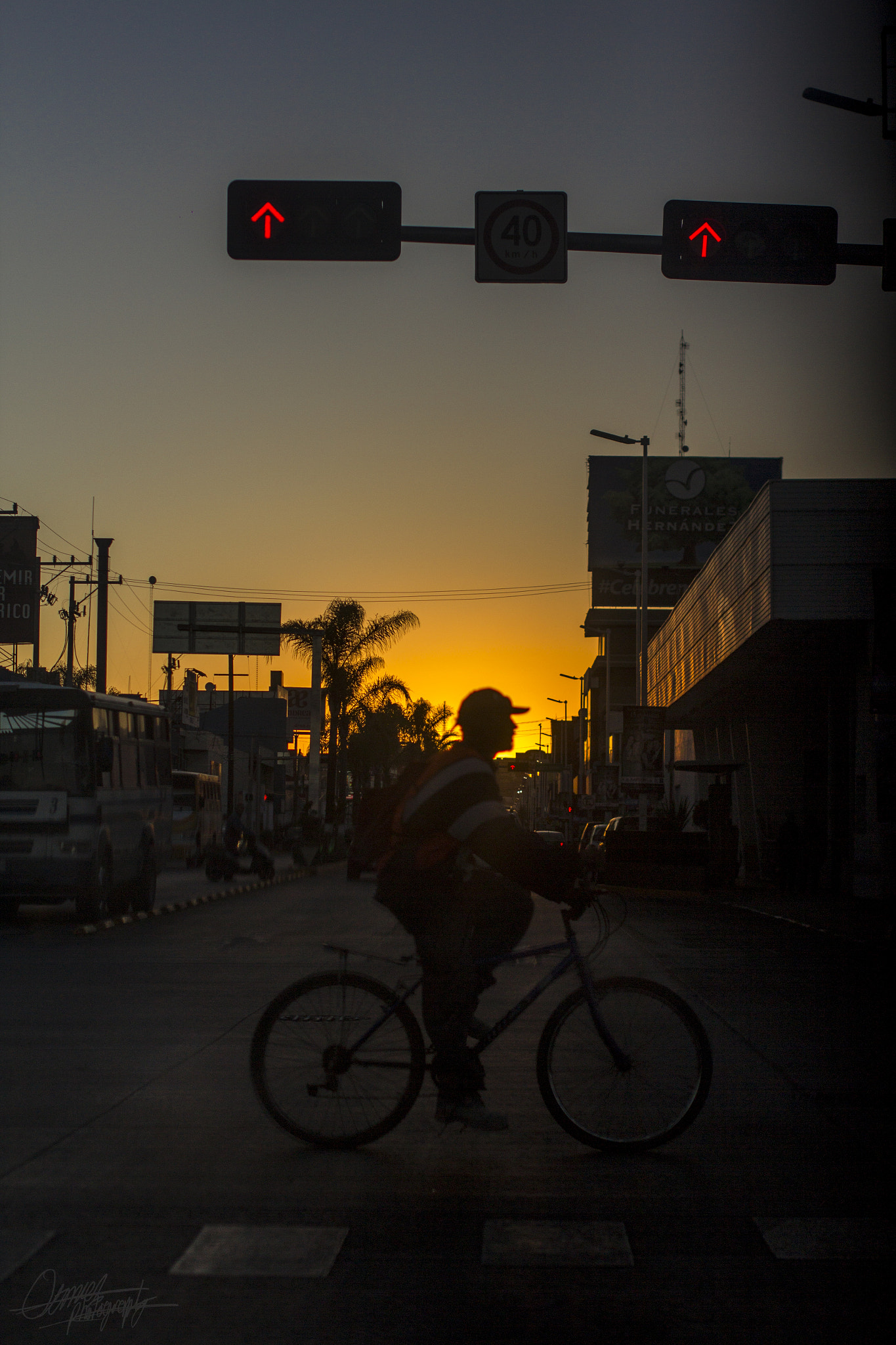 Sigma 50mm F1.4 EX DG HSM sample photo. Don't stop me, i'm going home. photography