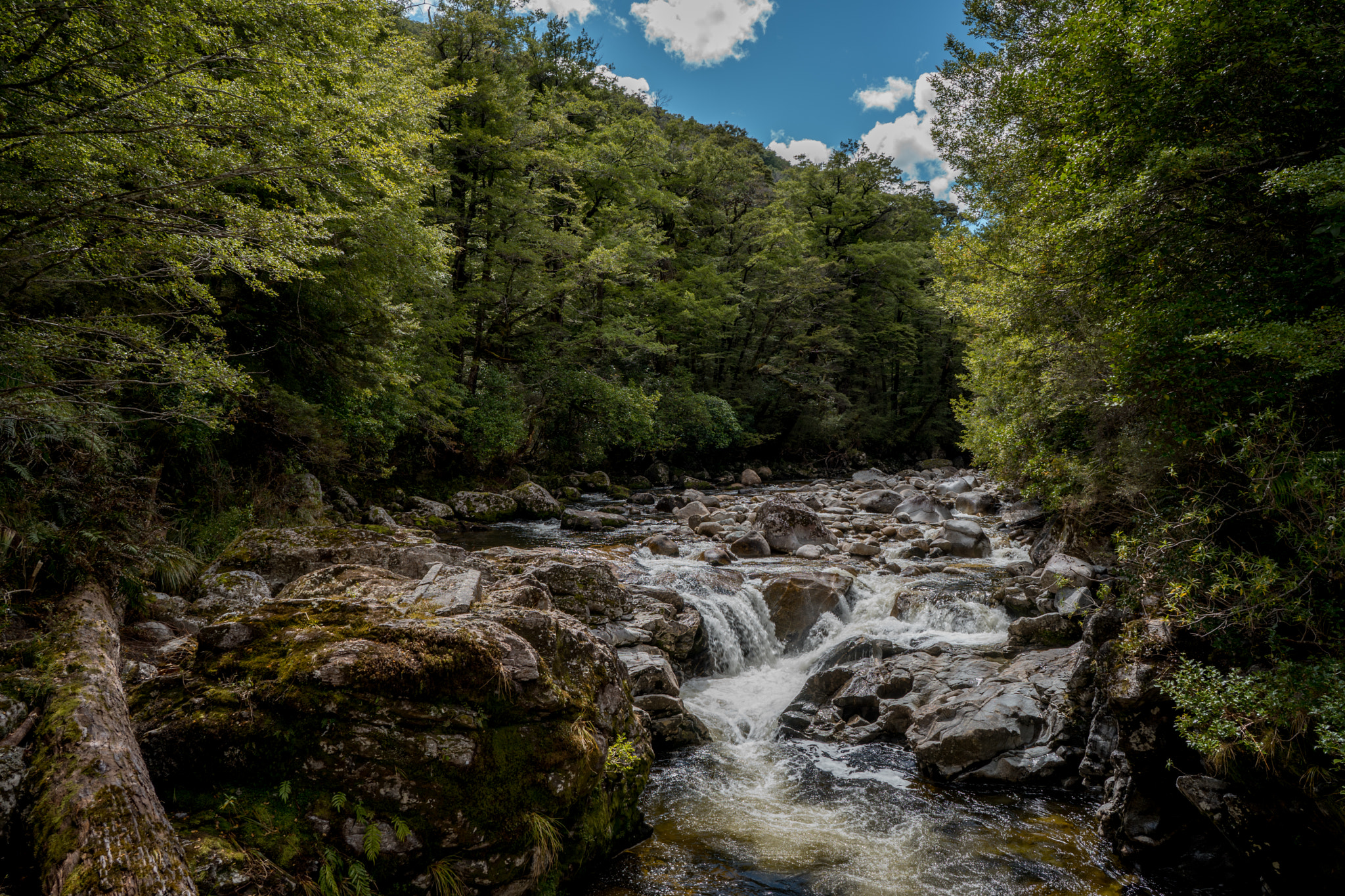 Sony a7 + ZEISS Batis 25mm F2 sample photo. Stream on state highway 7 photography