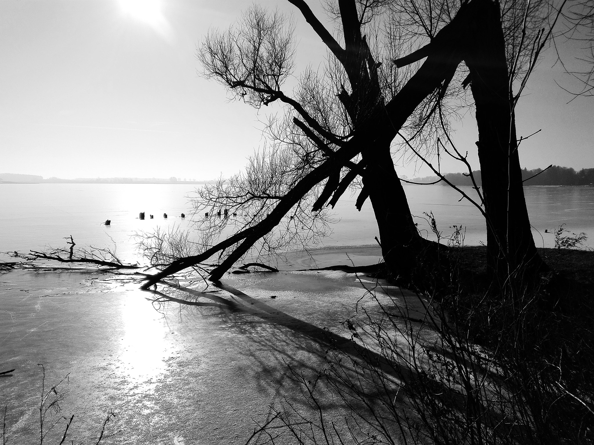 HUAWEI Cherry Mini sample photo. Frost photography