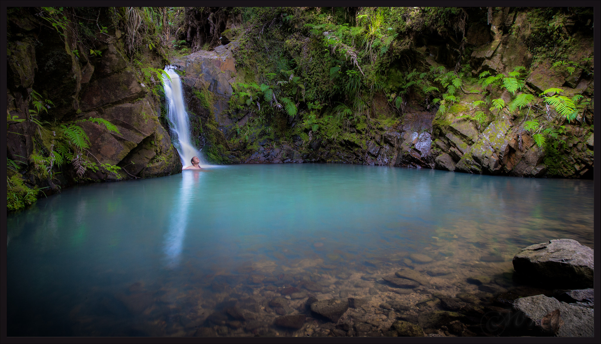 Canon EF 16-35mm F2.8L II USM sample photo. Kauri falls photography