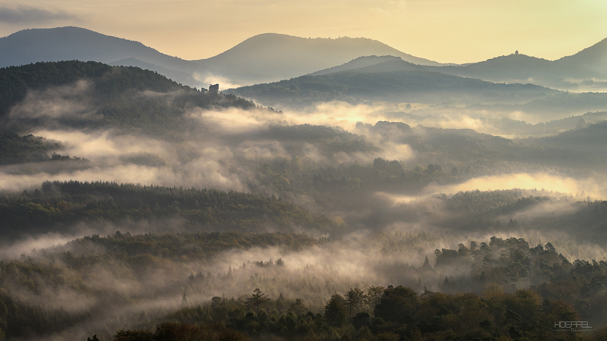 Tamron 18-270mm F3.5-6.3 Di II PZD sample photo. Nebeltanz photography
