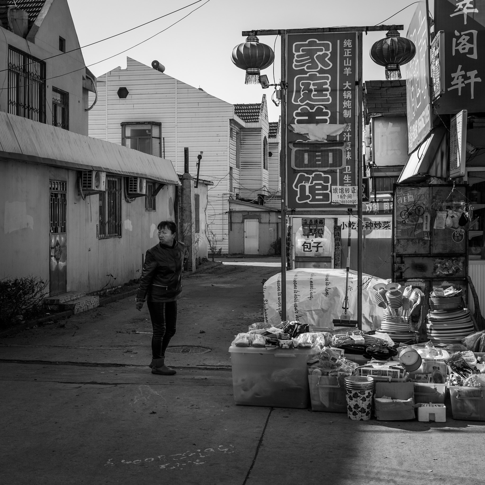 Canon EF-S 24mm F2.8 STM sample photo. The wired lady photography
