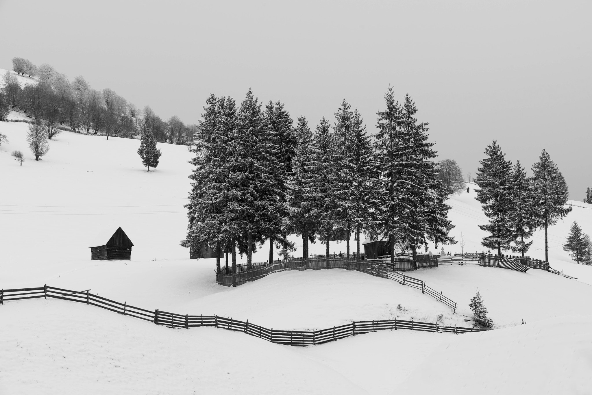 Nikon D810 sample photo. Far from modern life photography
