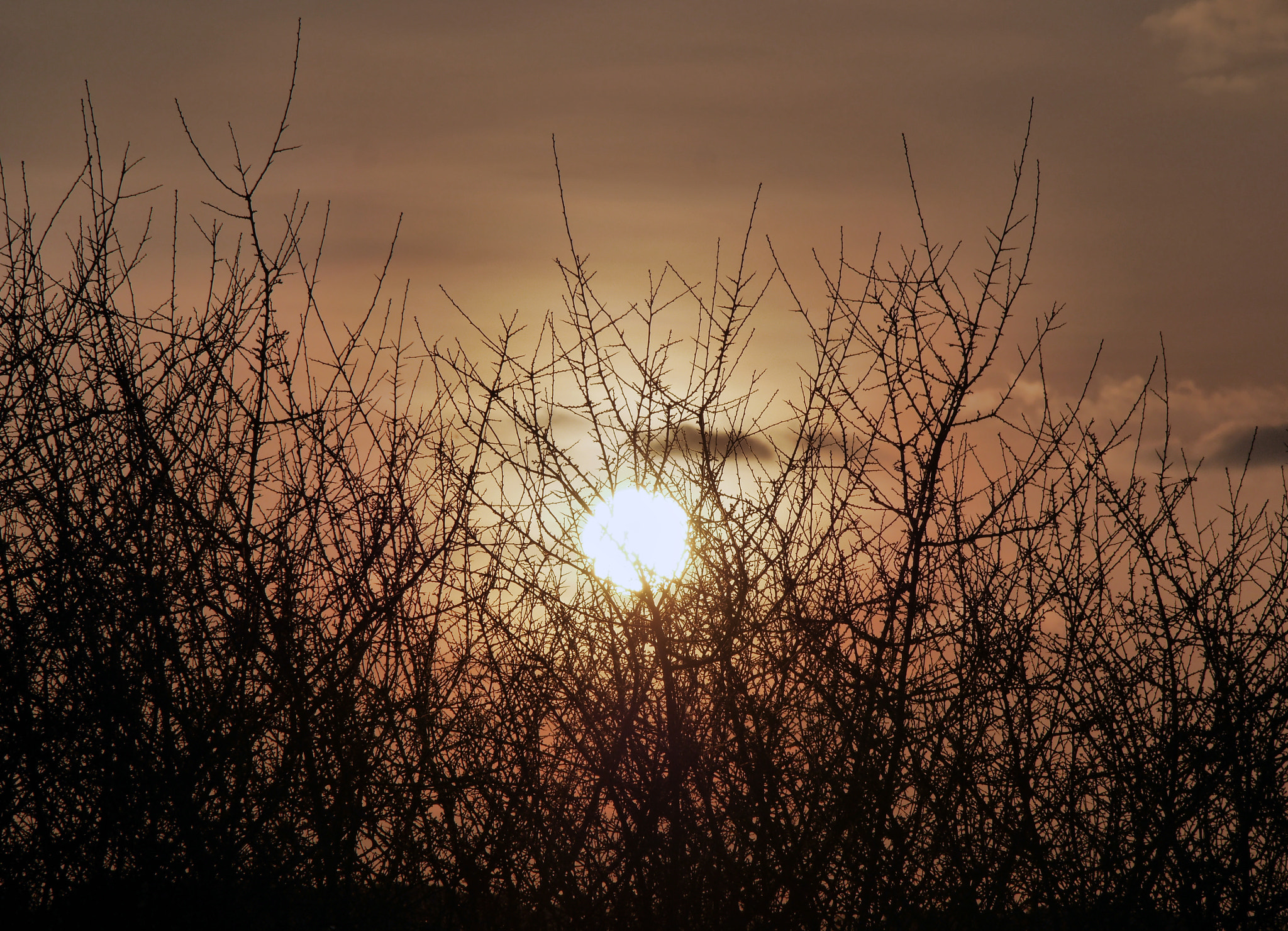 Panasonic Lumix DMC-GH3 sample photo. Sunset photography