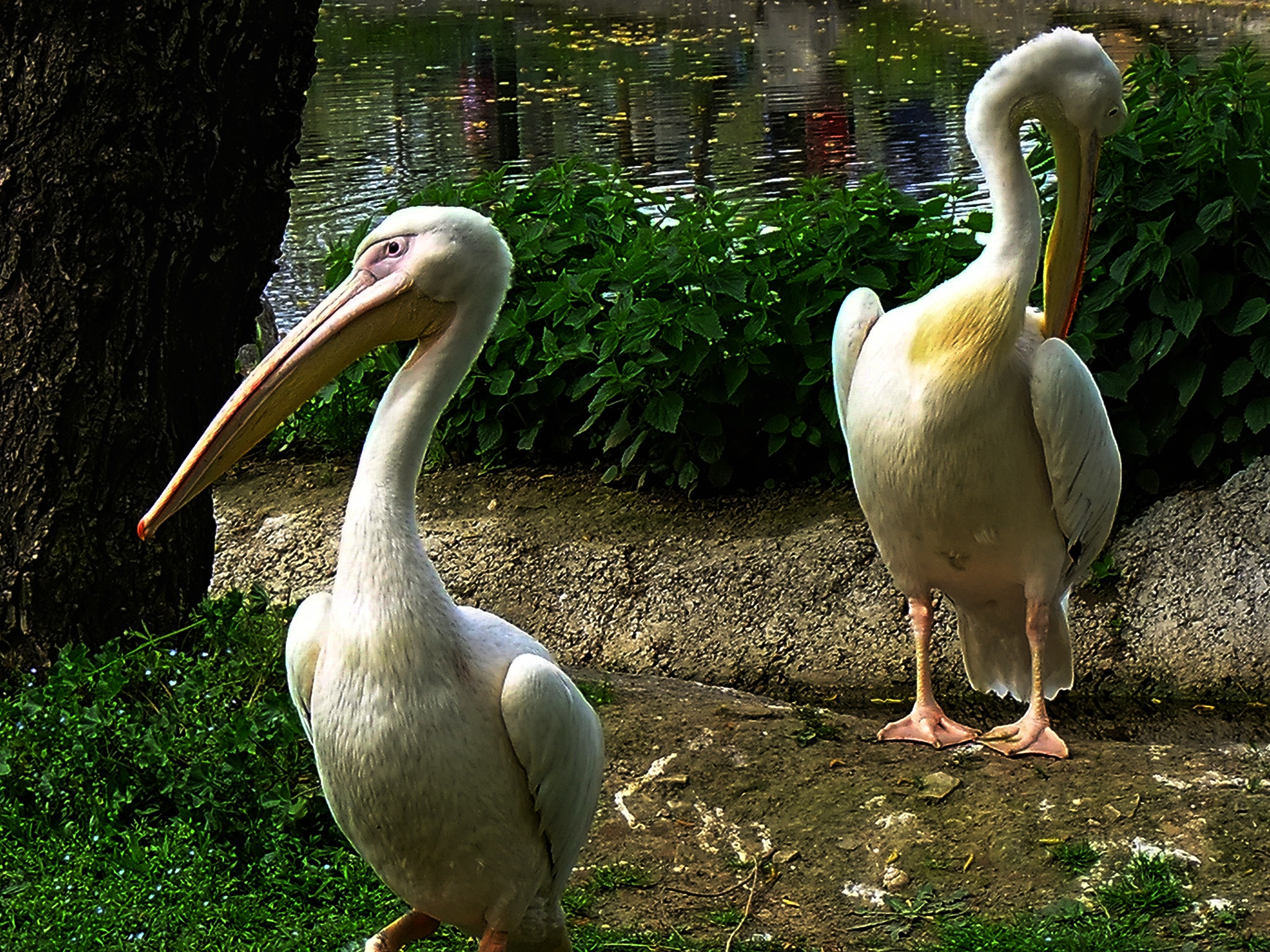 FujiFilm FinePix S200EXR (FinePix S205EXR) sample photo. ... photography