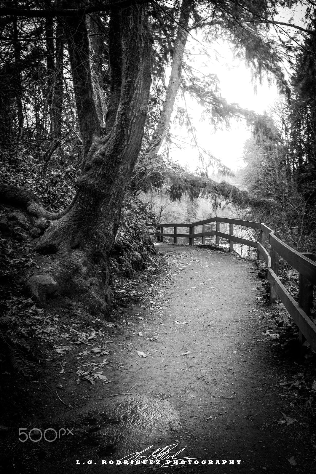 Canon EOS 7D sample photo. Tumwater falls b&w photography