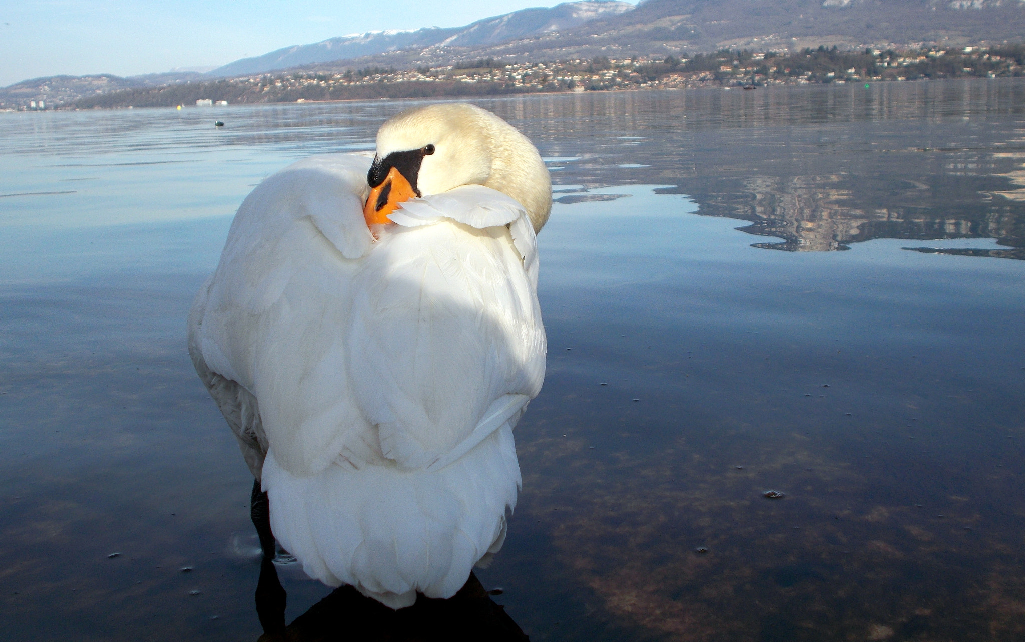 Nikon COOLPIX L27 sample photo. Lac du bourget (savoie) photography