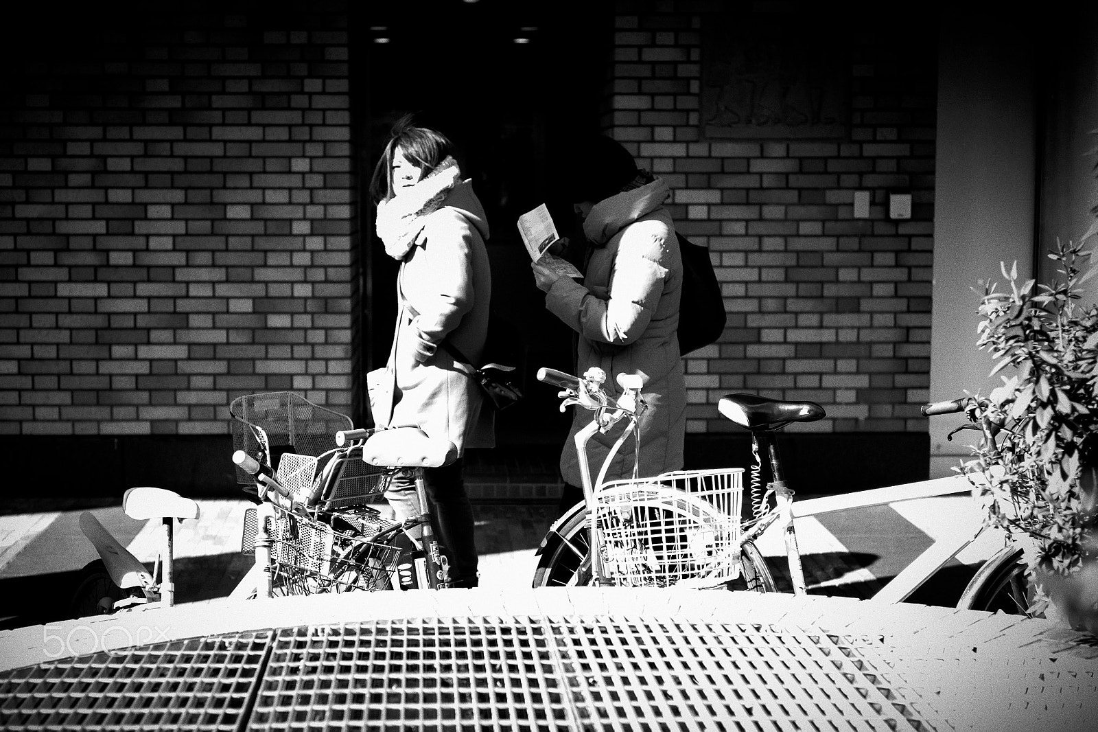 Summicron-M 50mm f/2 (IV, V) sample photo. I can feel beautiful woman watching me..... photography