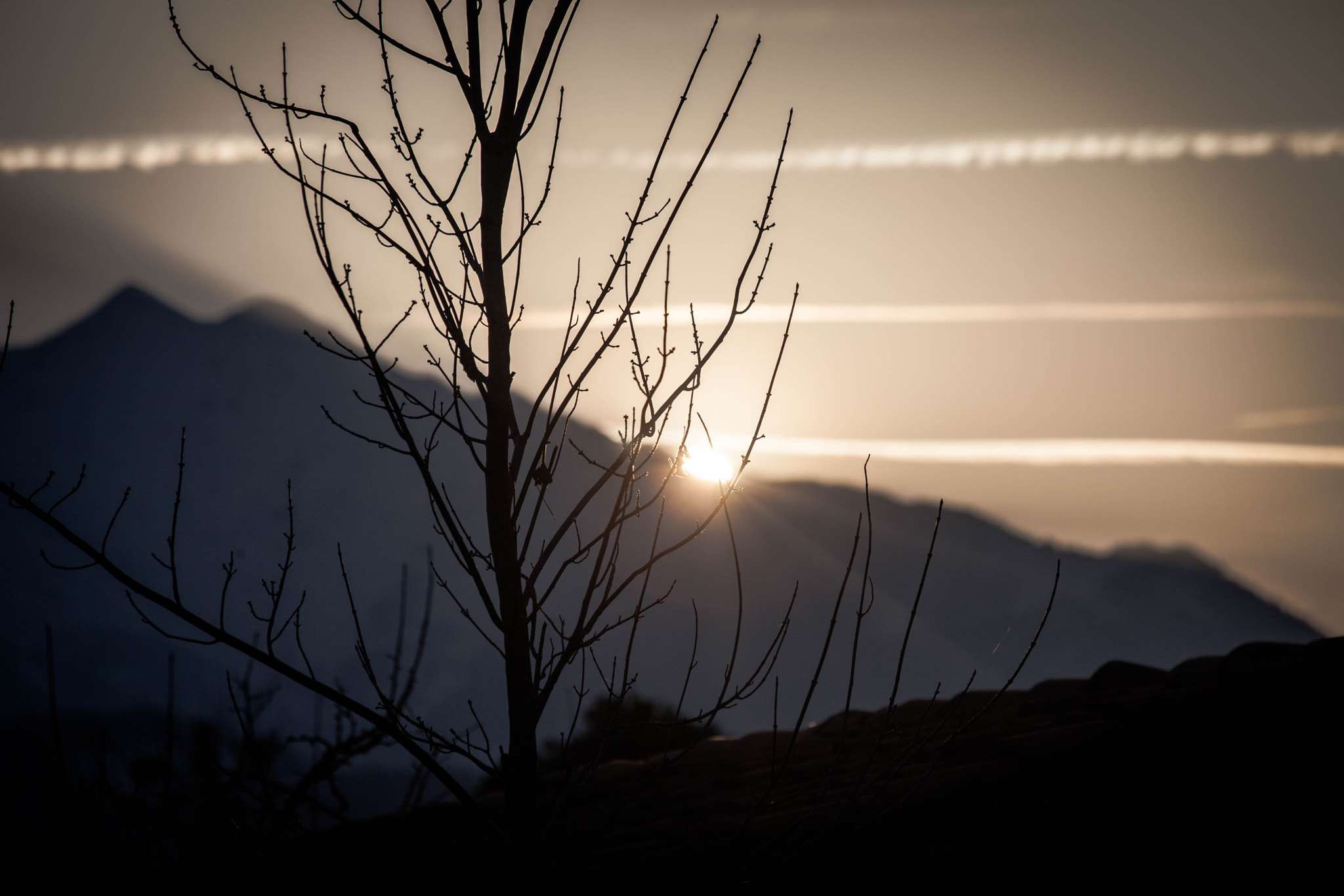 Canon EF 70-300mm F4-5.6 IS USM sample photo. Sunset through the tree photography