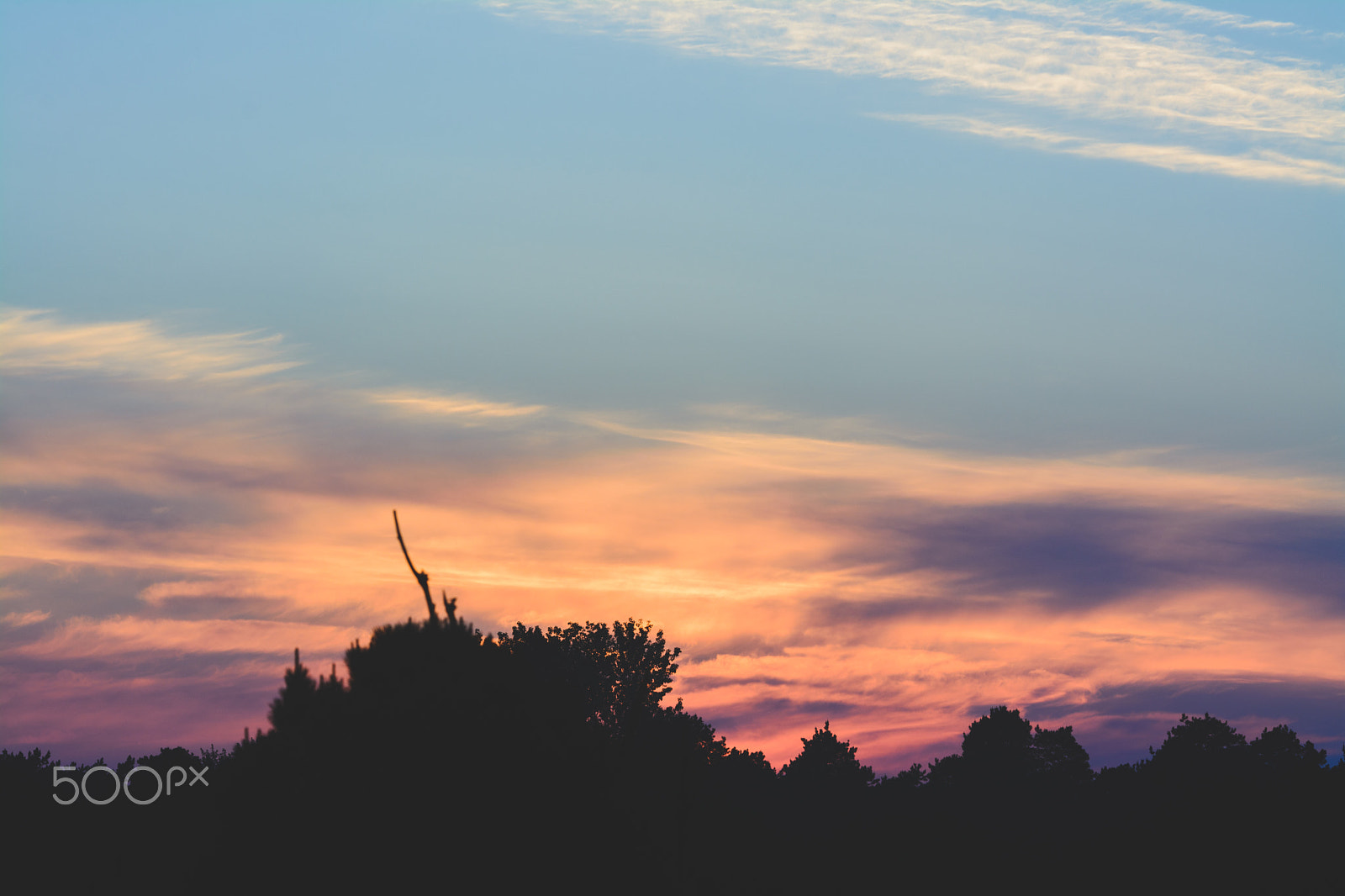 Sigma 70-200mm F2.8 EX DG OS HSM sample photo. Afternoon sky photography