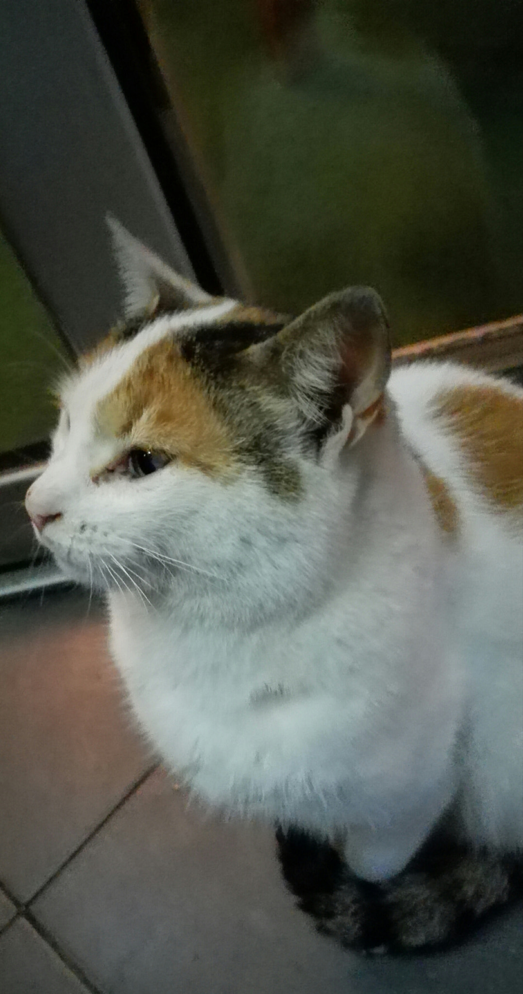 HUAWEI P7-L10 sample photo. Beauty photography