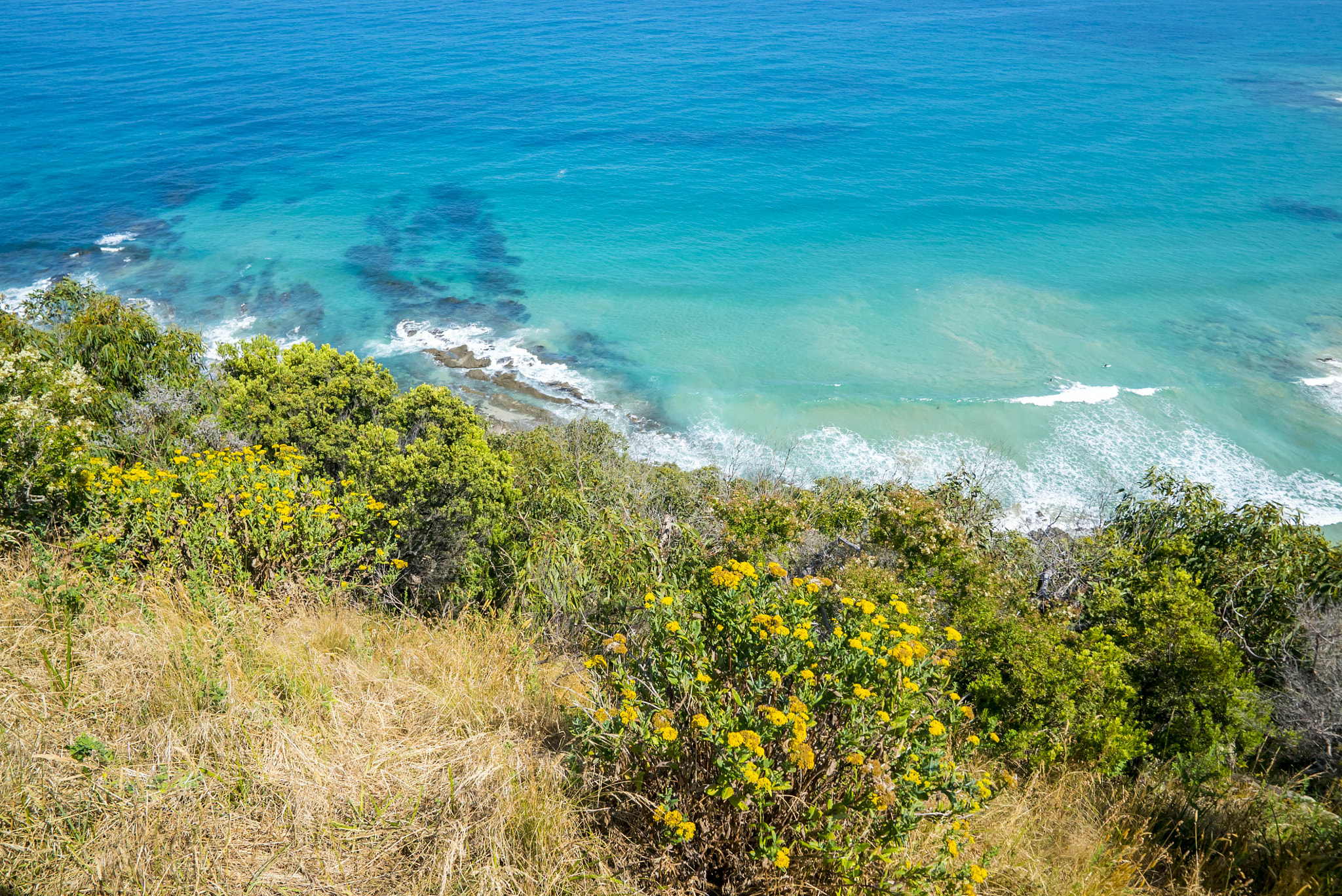 Sony a7S II sample photo. Coastline of a rocky beach along the great ocean road photography