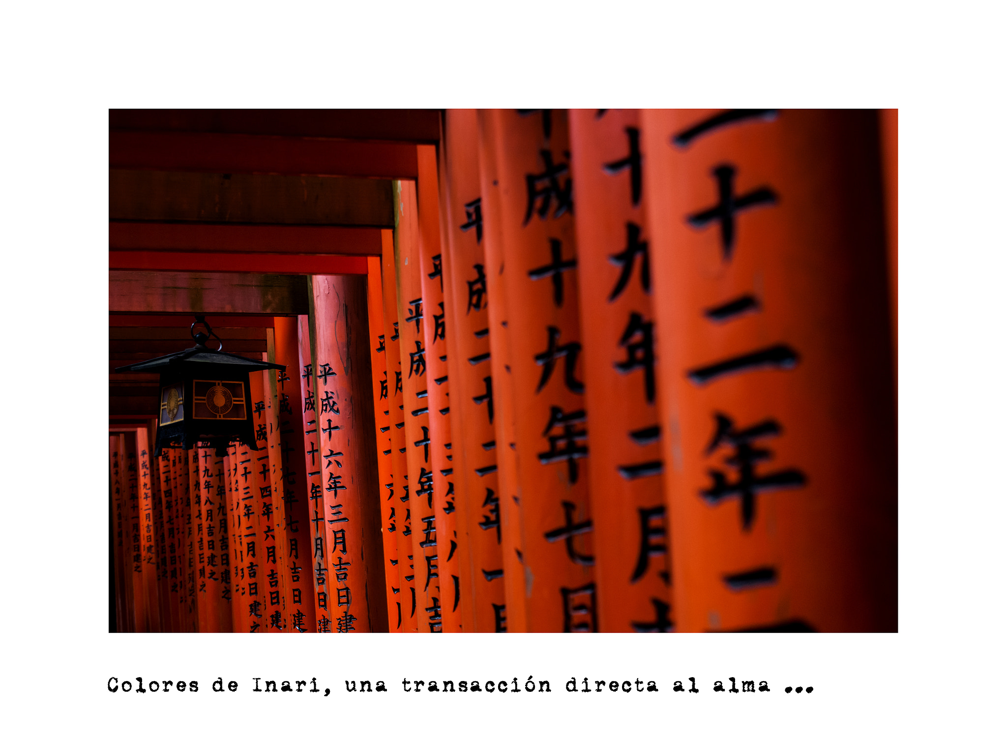 Nikon D300S sample photo. Colores de inari ... photography