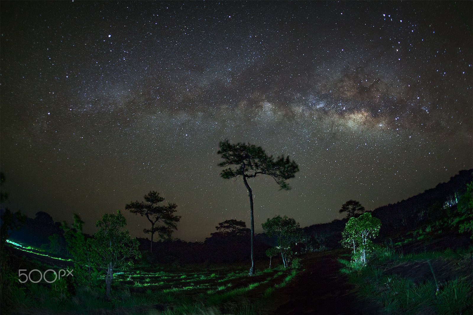 Canon EOS 5D Mark II sample photo. Milky way at phu hin rong kla national park,phitsanulok thailand photography
