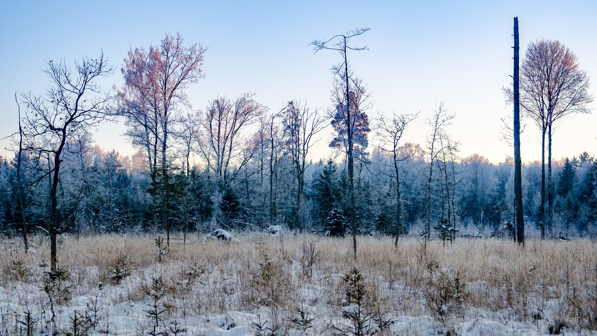 Nikon D7000 + Tamron SP 24-70mm F2.8 Di VC USD sample photo. Dusk colors photography