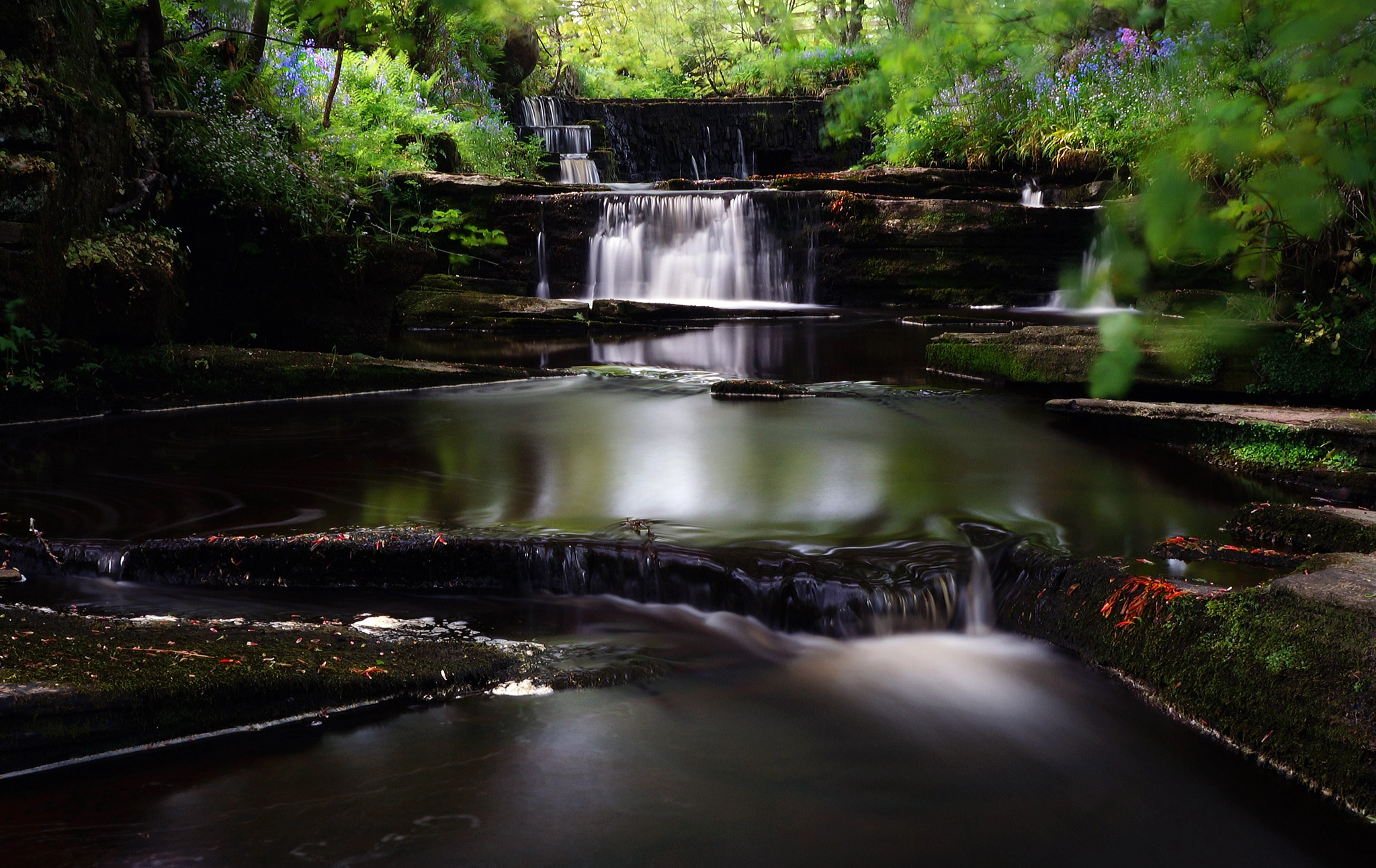 Sony Alpha NEX-6 sample photo. Woodwork burn, orkney isles photography