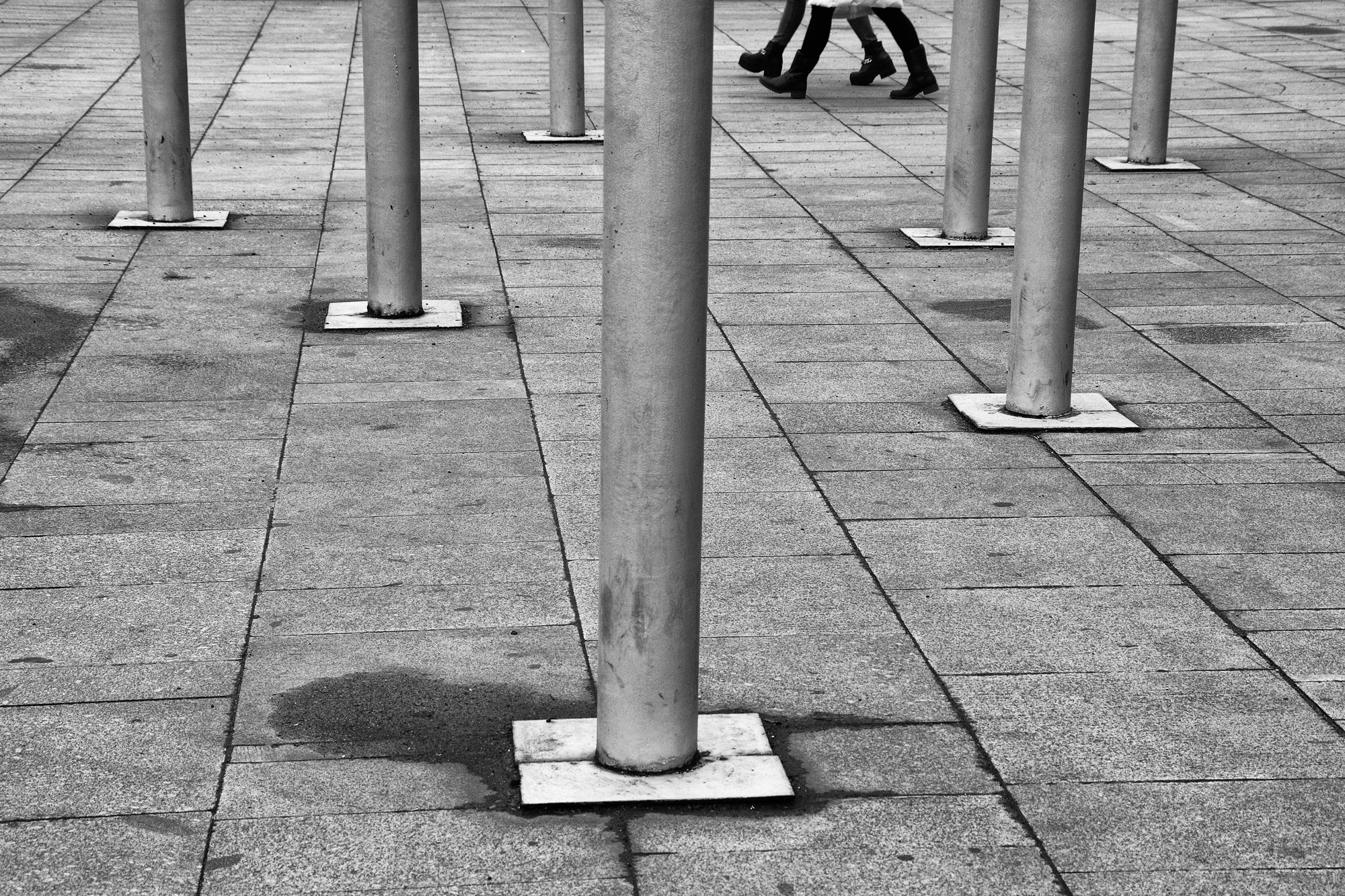 Nikon AF-S Nikkor 500mm F4D ED-IF II sample photo. Legs photography