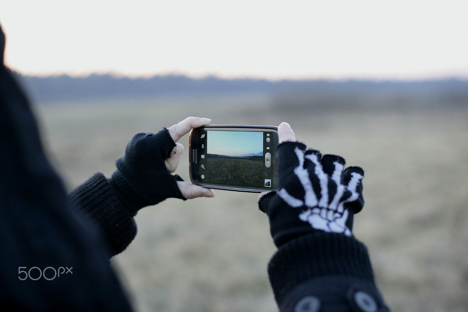 Canon EOS-1Ds Mark II sample photo. A picture in picture photography