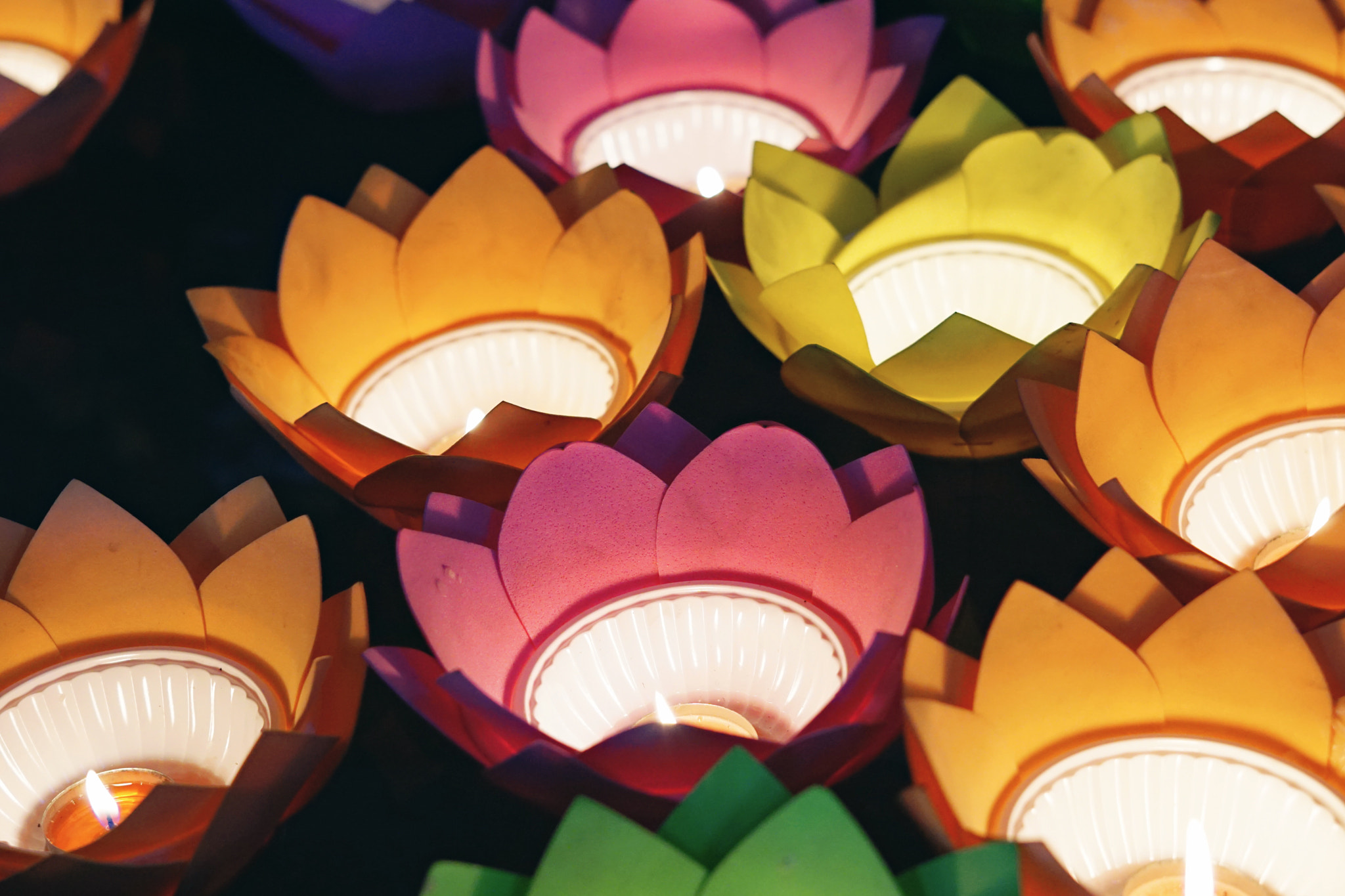 Sony a6000 sample photo. Flower garlands and coloured lanterns festival photography