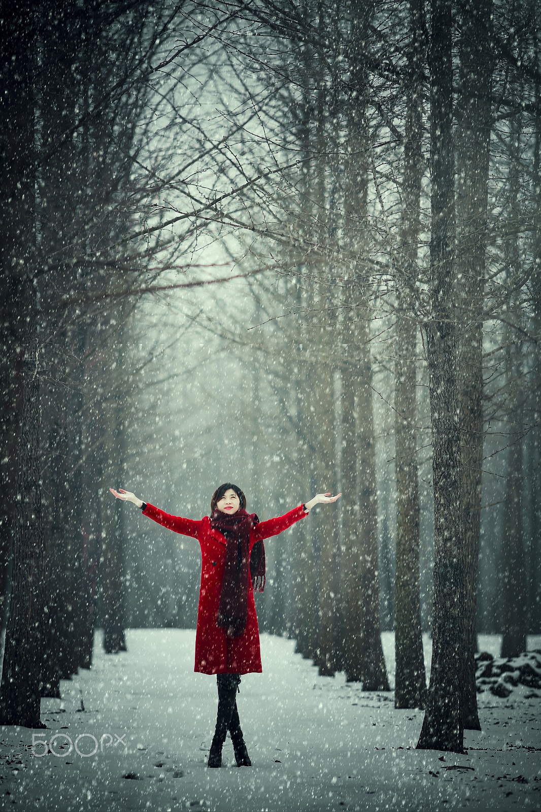 Canon EOS 5DS + Canon EF 200mm F2.8L II USM sample photo. 春天的雪 photography