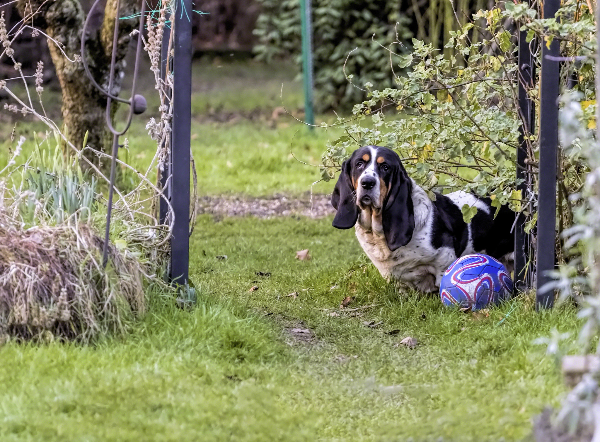 Canon EOS M5 + Canon EF 70-200mm F4L USM sample photo. Jimmy riddle photography