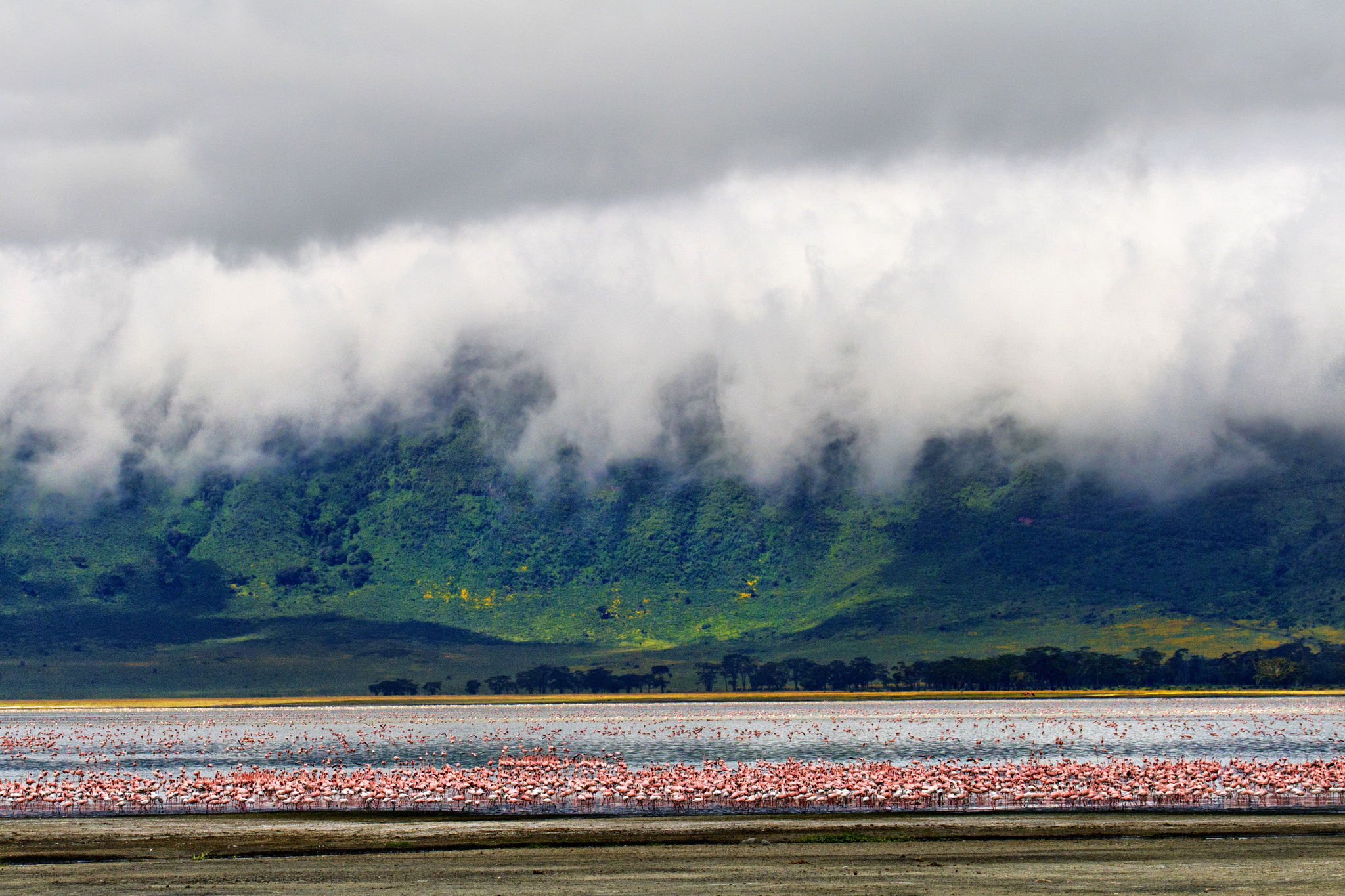 Canon EOS 30D sample photo. Ngorongoro flamingos photography