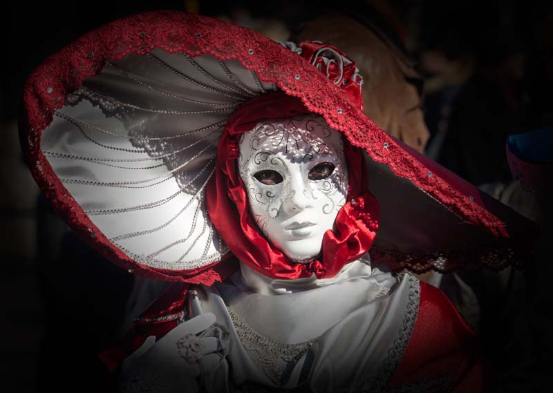 Sigma 120-400mm F4.5-5.6 DG OS HSM sample photo. Hallia venezia 2014 photography