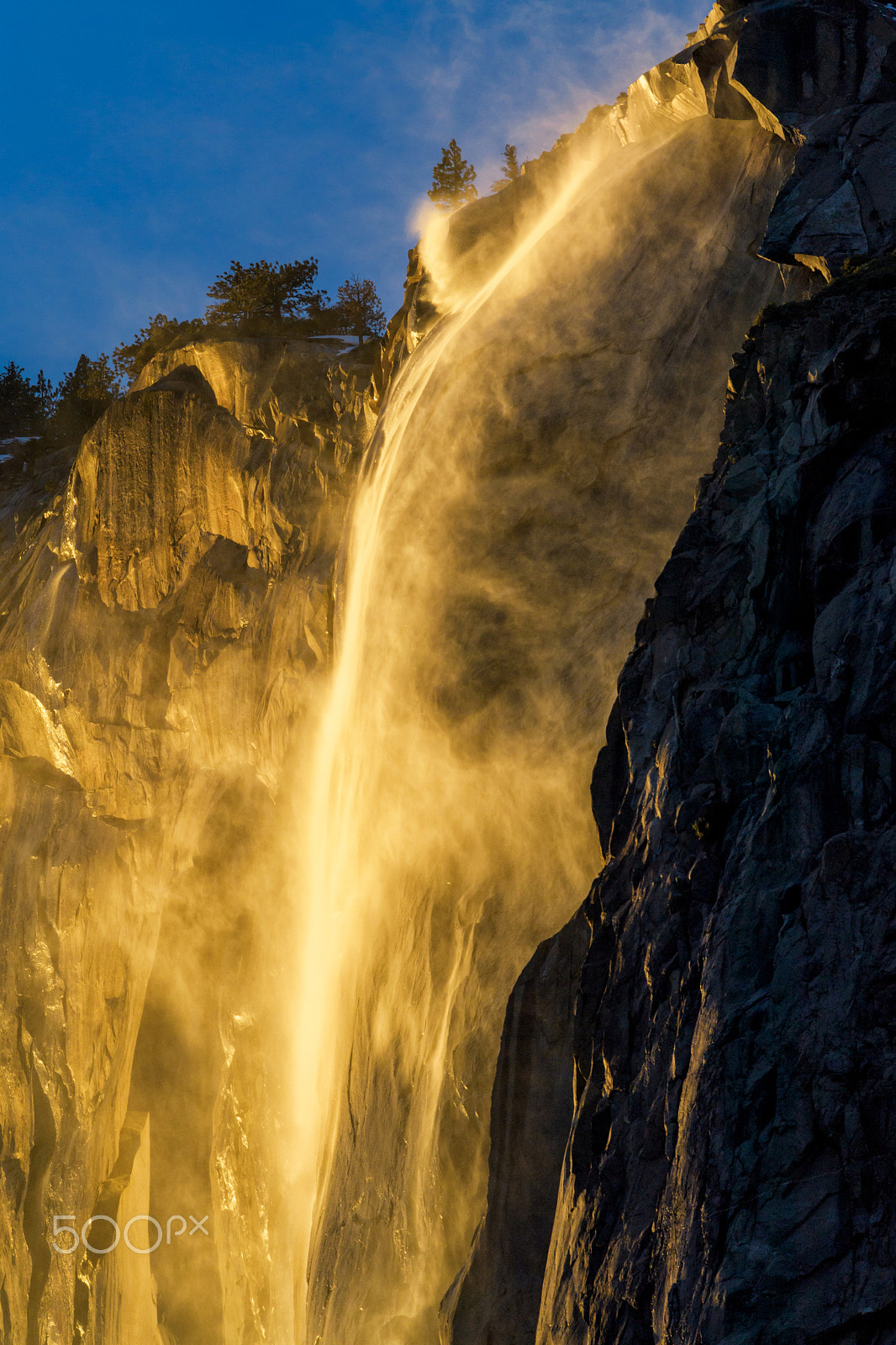 Nikon D5 + Nikon AF-S Nikkor 600mm F4G ED VR sample photo. Delicate fire photography