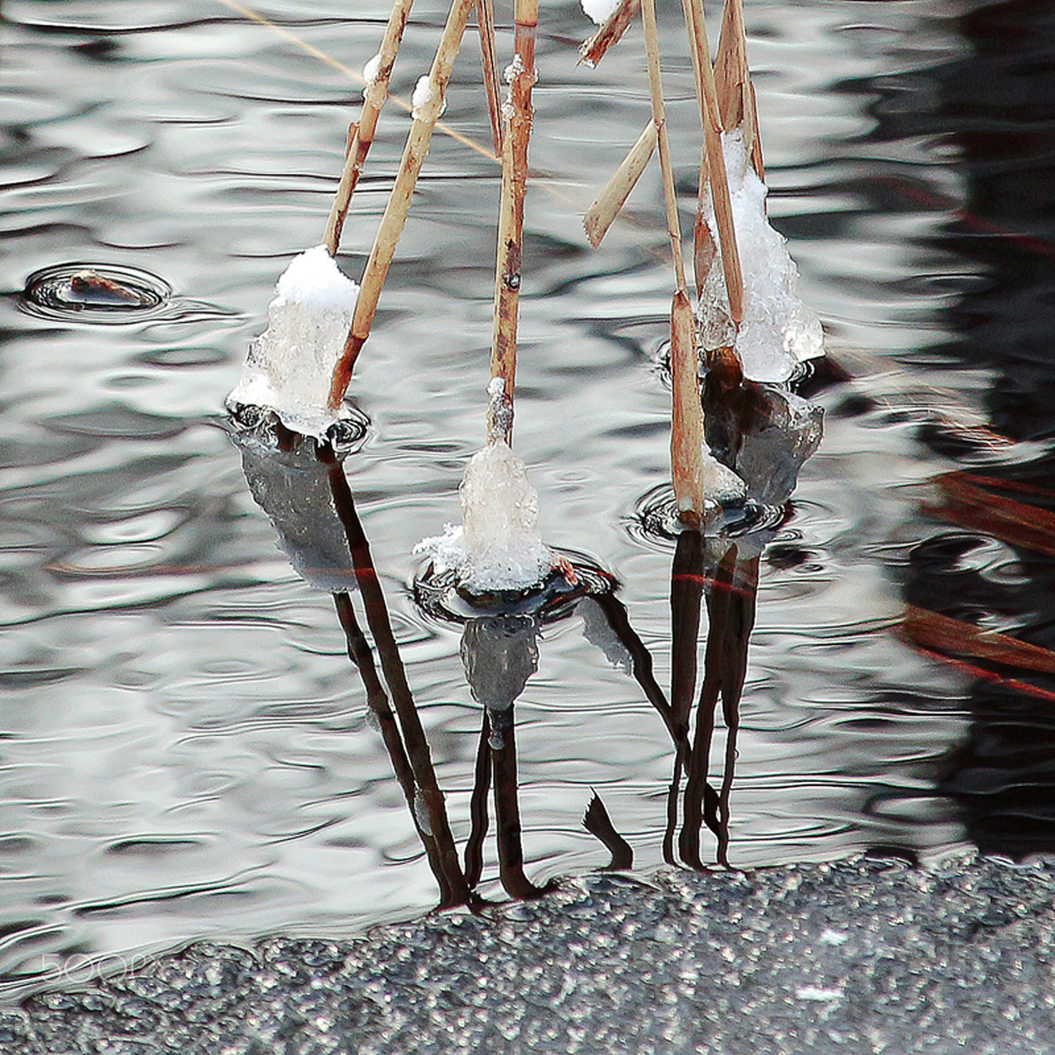 Canon EOS M sample photo. Ice and reflections photography