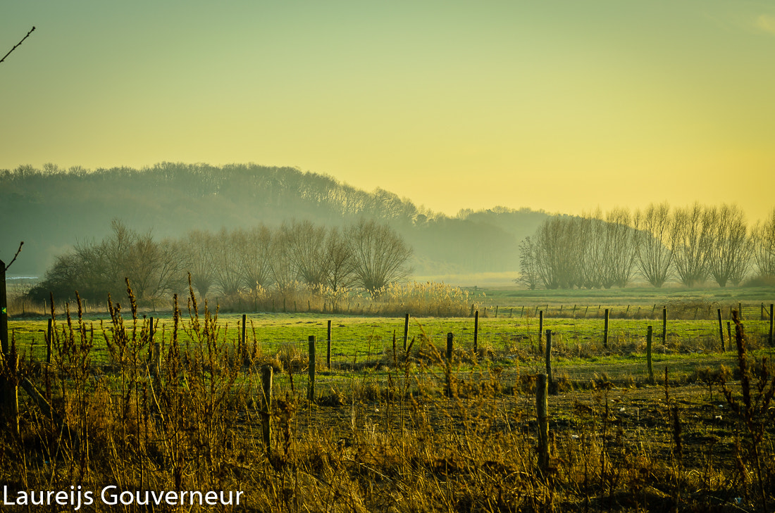 Nikon D5100 sample photo. Hoogerheide landscape photography