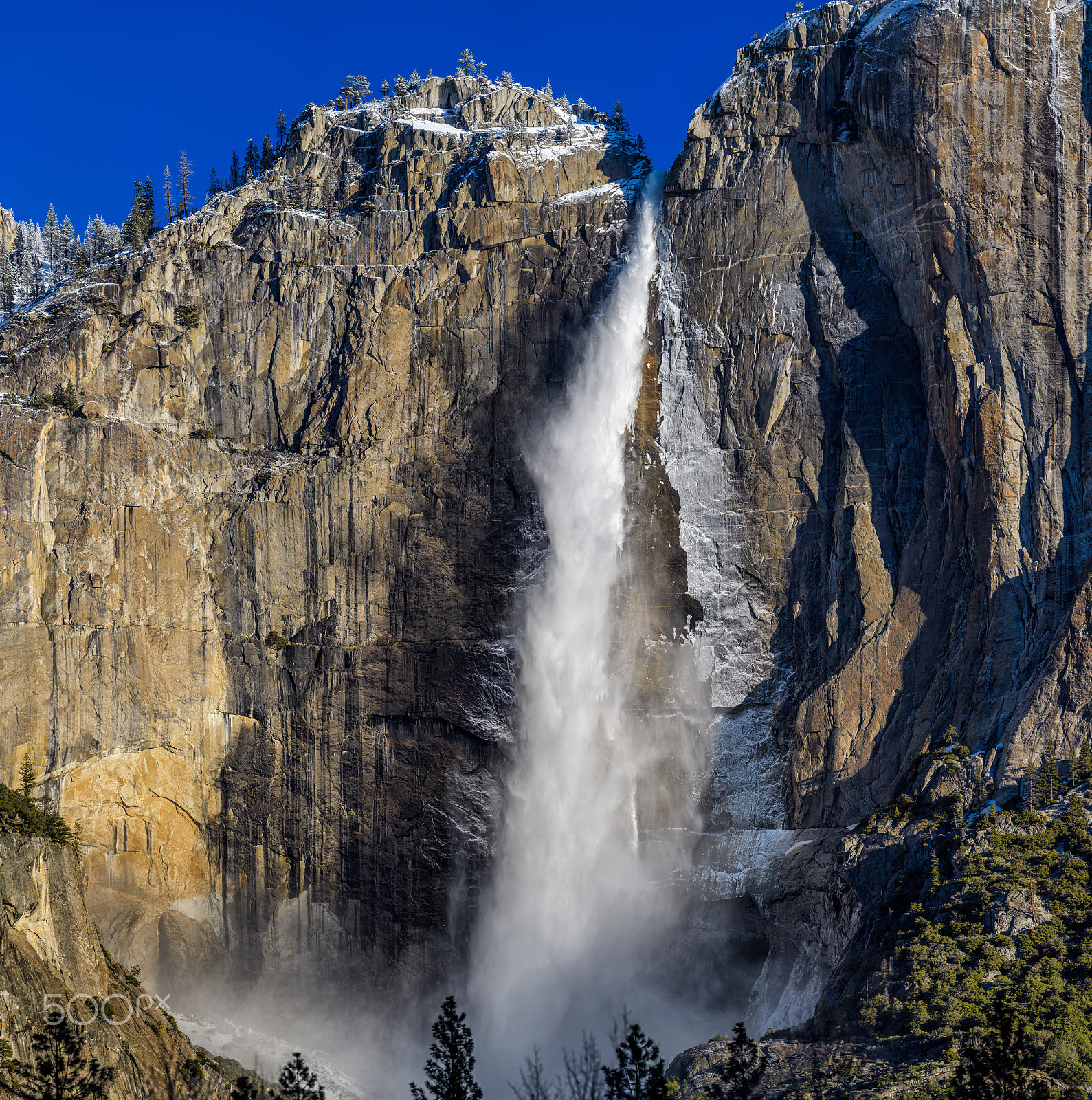 Nikon D5 + Nikon AF-S Nikkor 600mm F4G ED VR sample photo. Yosemite glory photography