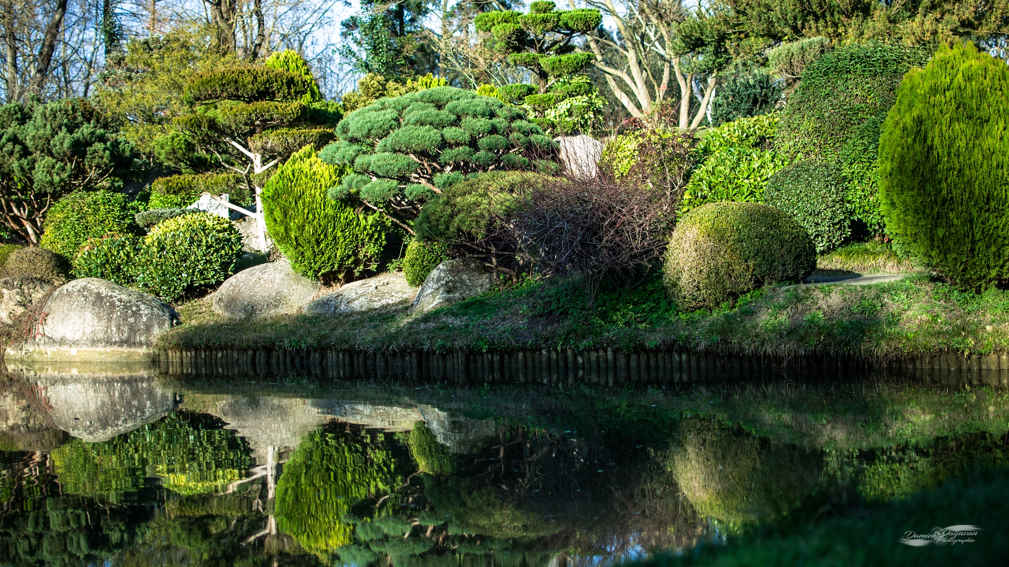 Nikon AF-S DX Nikkor 35mm F1.8G sample photo. Japanese garden photography