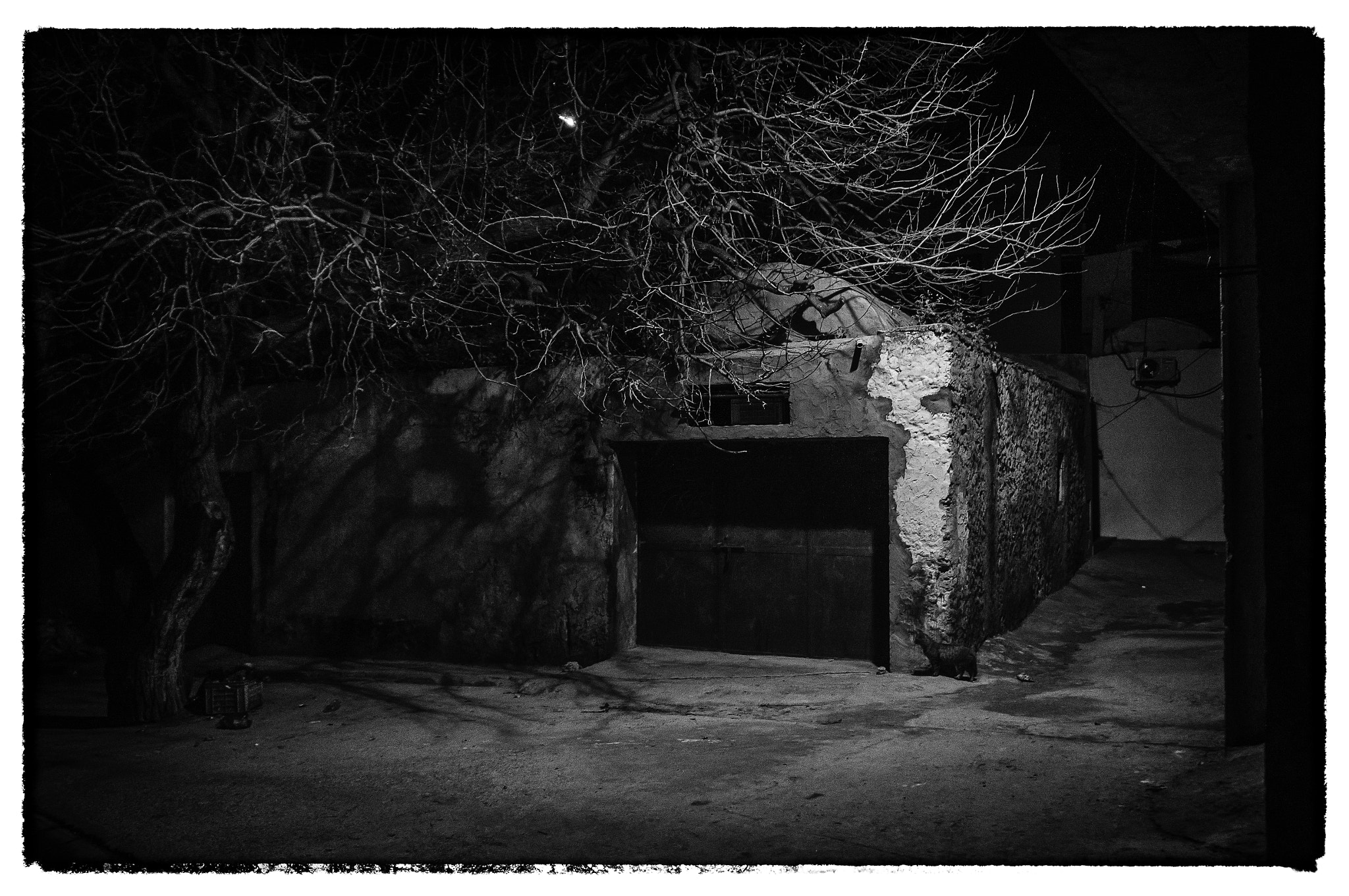 Sony Alpha NEX-5R + Sony E 18-55mm F3.5-5.6 OSS sample photo. Ingrained in the night 22 photography