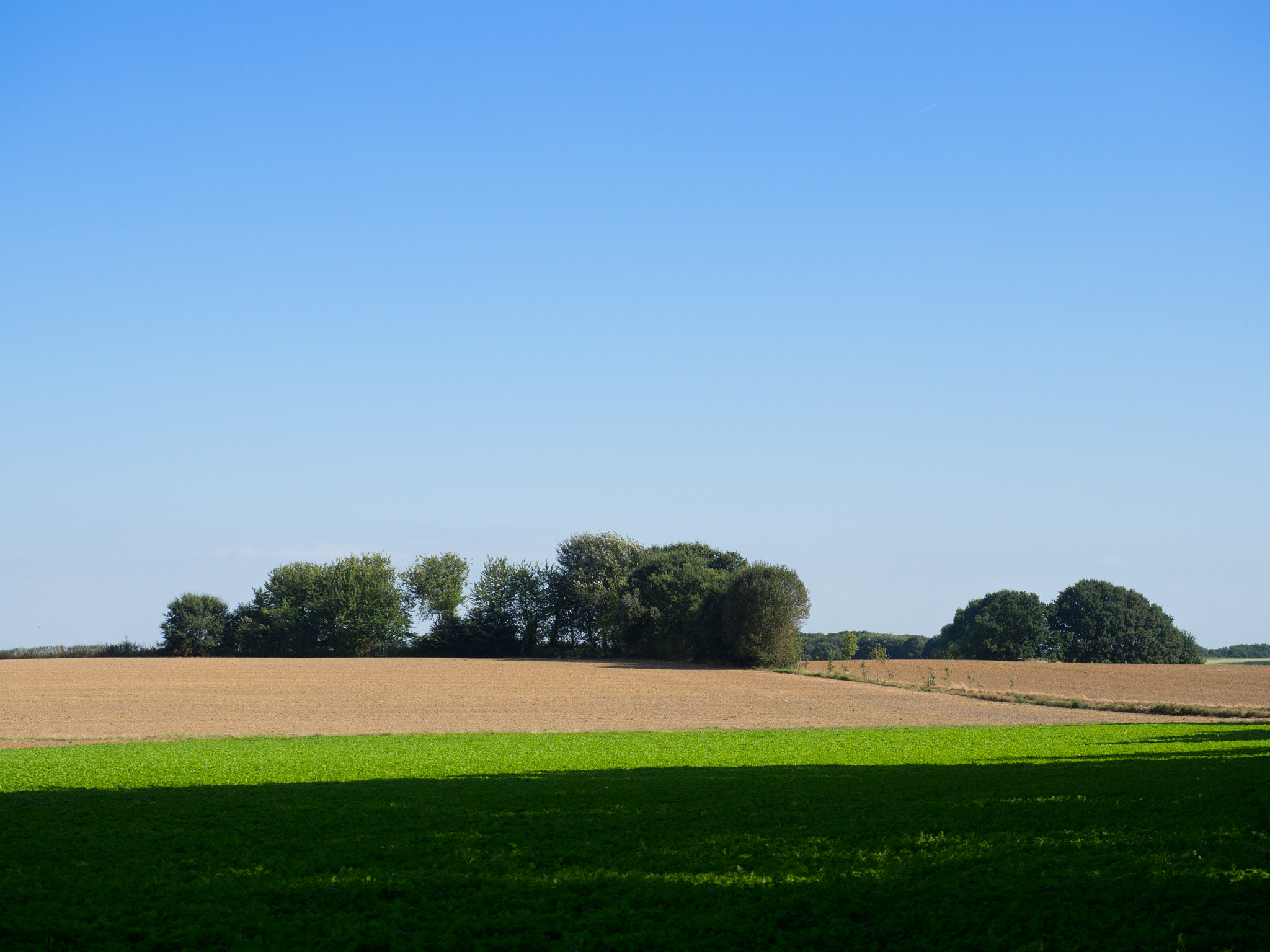 Olympus OM-D E-M10 II sample photo. Walking in limburg photography