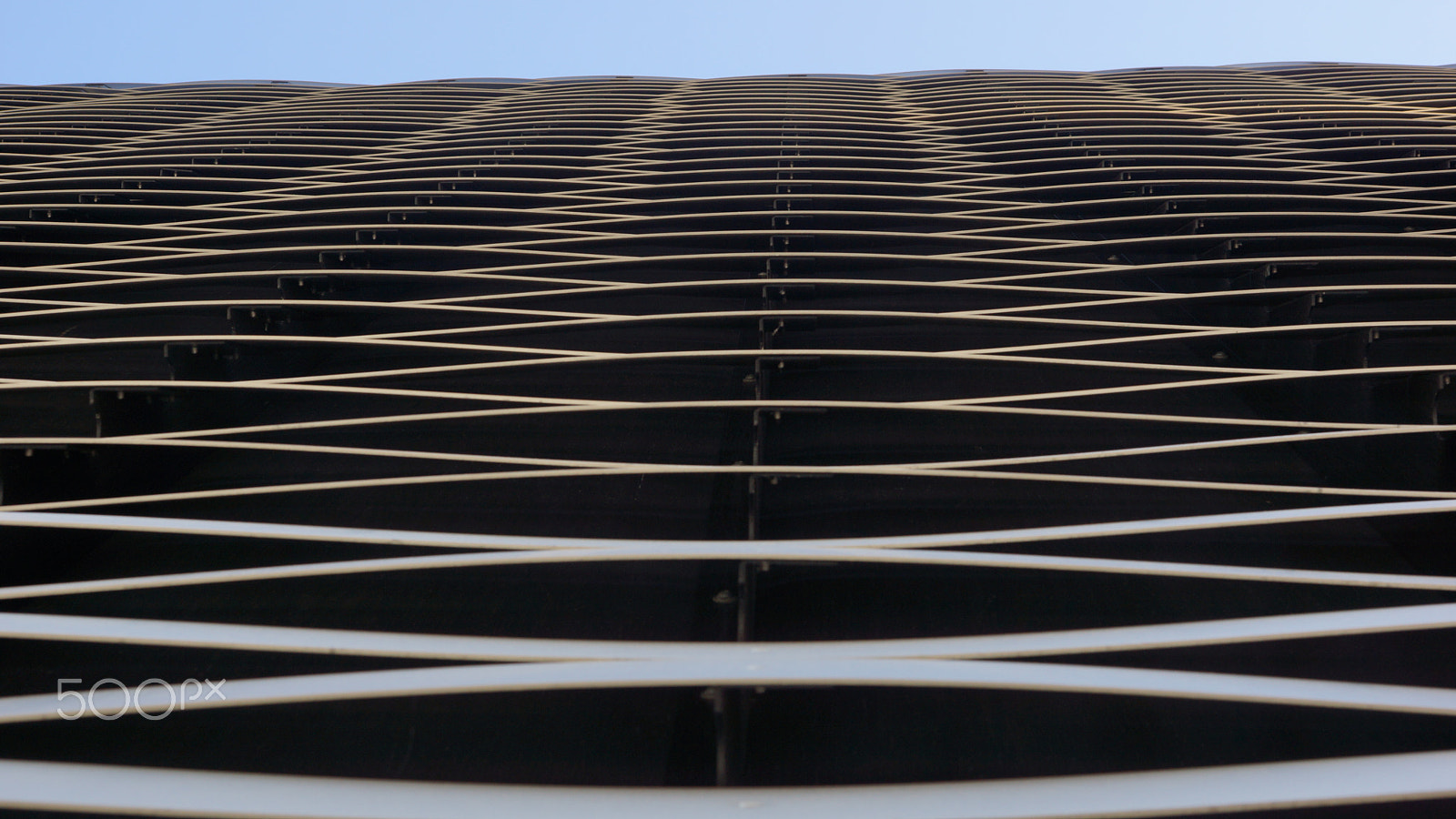 Sony SLT-A77 sample photo. Woven cover photography