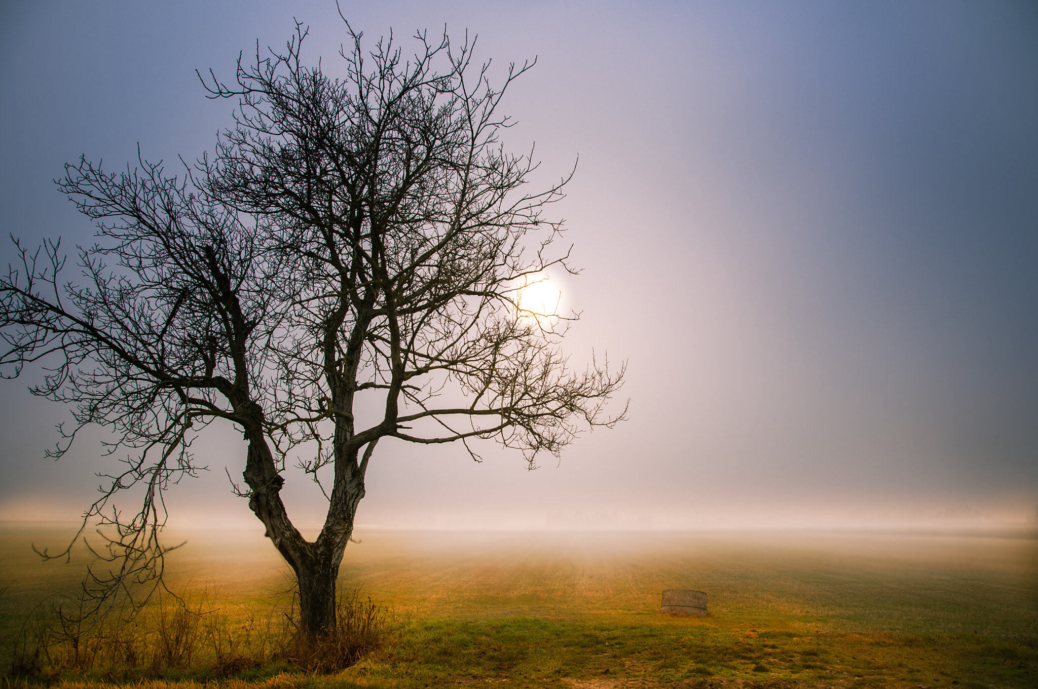 Sigma 17-50mm F2.8 EX DC OS HSM sample photo. Fog #3 photography