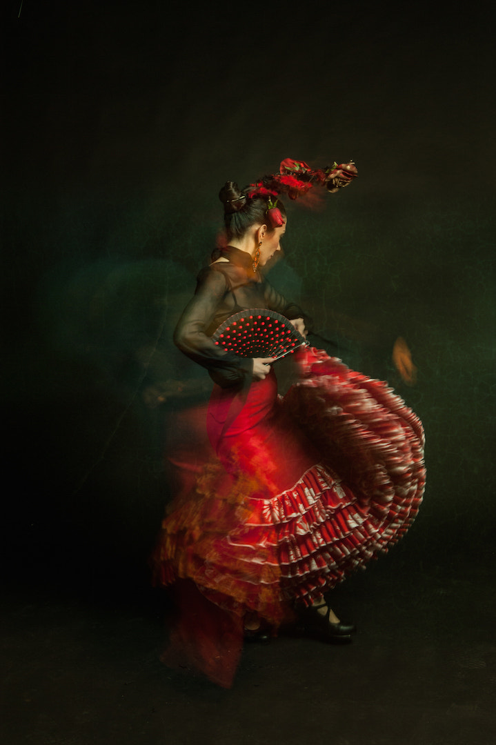 Nikon D3 sample photo. Secret flamenco photography