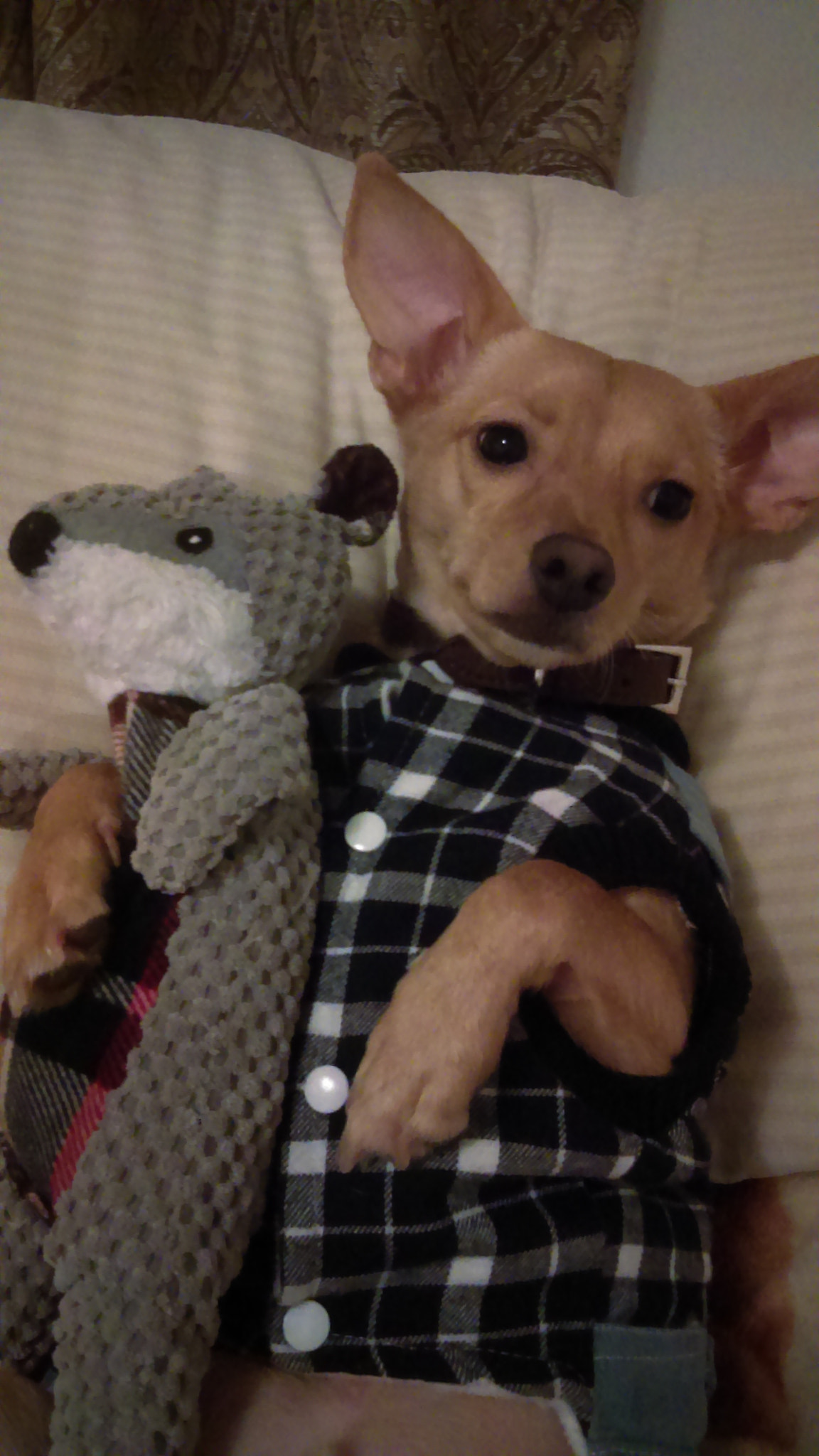HTC DESIRE 626S sample photo. Kevin and his friend photography