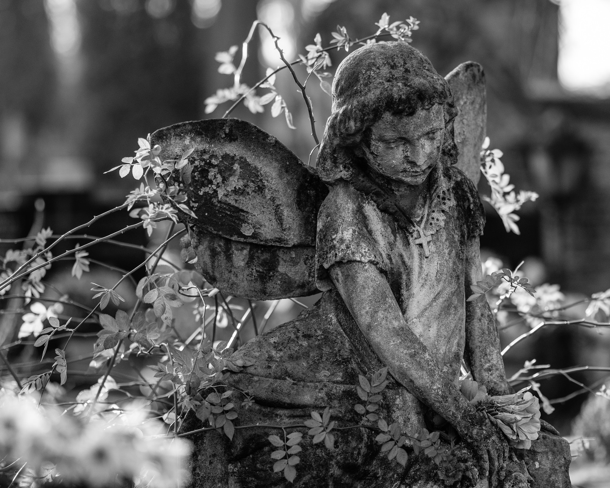 Fujifilm X-T2 + Fujifilm XF 90mm F2 R LM WR sample photo. Rakowicki cemetery photography