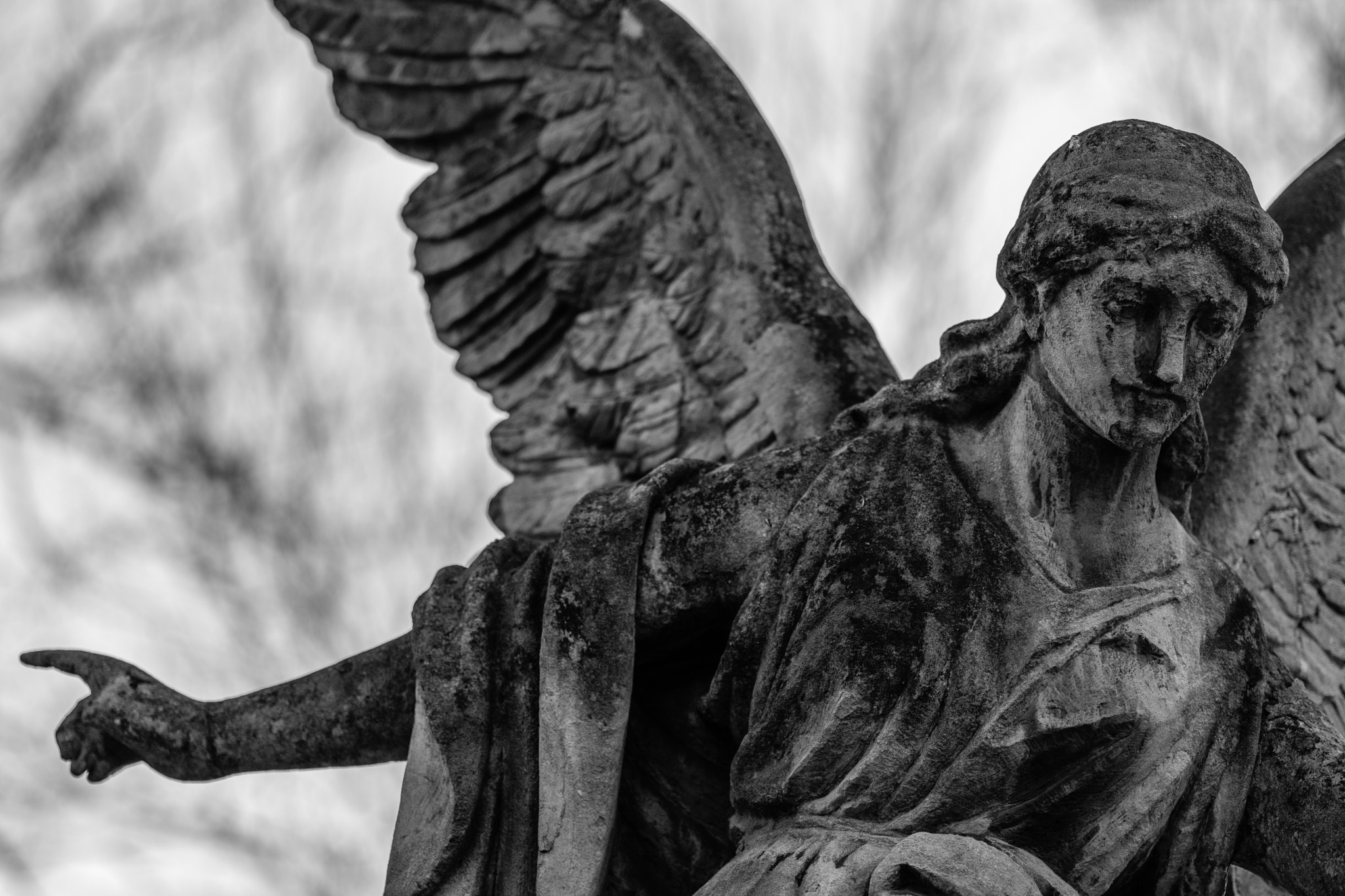 Fujifilm X-T2 + Fujifilm XF 90mm F2 R LM WR sample photo. Rakowicki cemetery photography