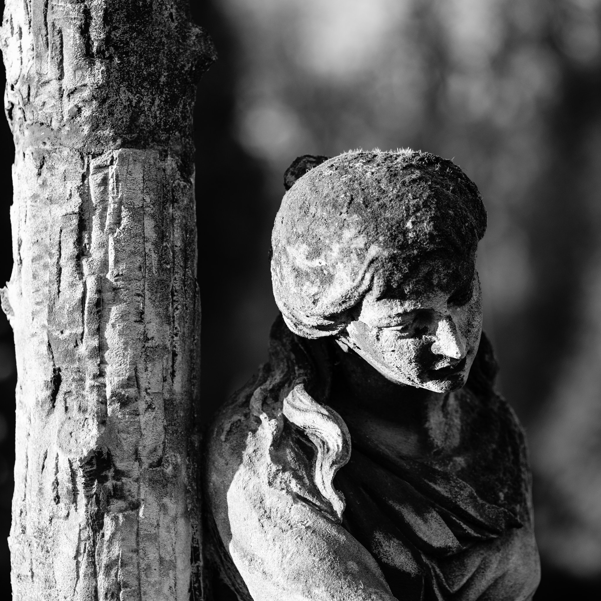 Fujifilm X-T2 + Fujifilm XF 90mm F2 R LM WR sample photo. Rakowicki cemetery photography